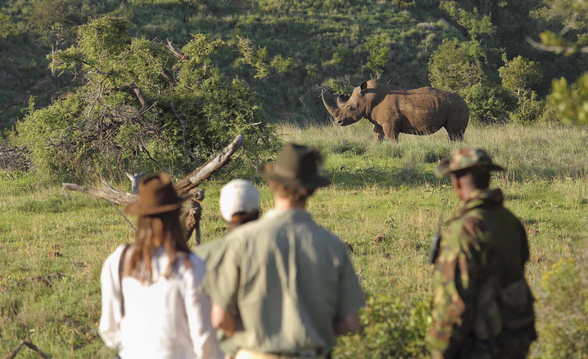 https://www.trackssafaris.co.uk/wp-content/uploads/2022/07/Rhino-tracking-on-foot.jpg