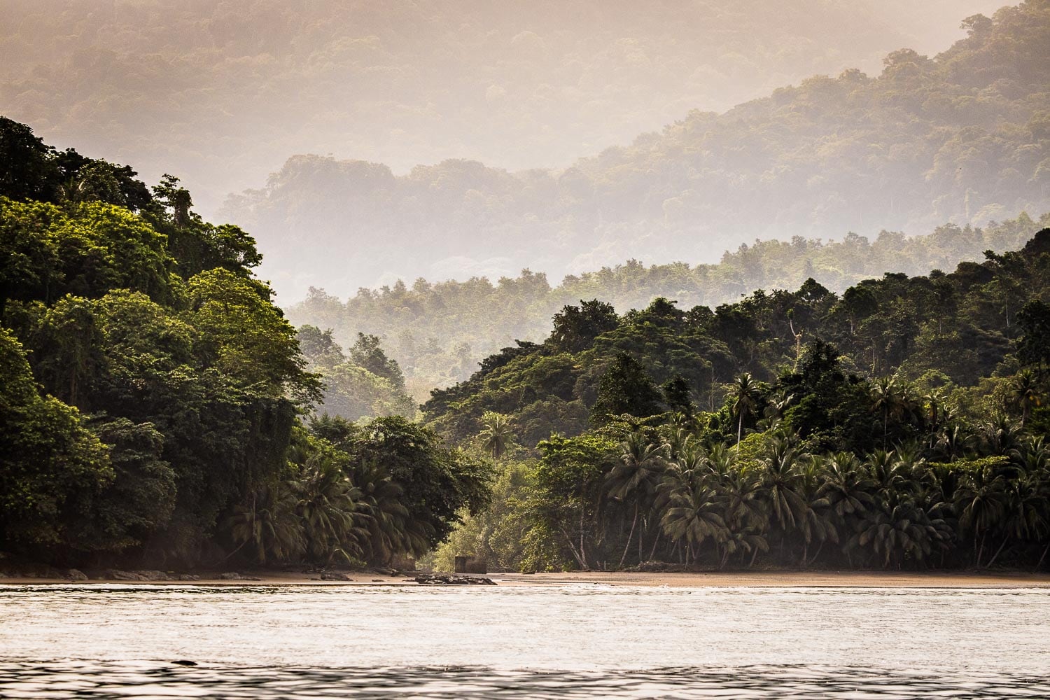 https://www.trackssafaris.co.uk/wp-content/uploads/2022/06/16_-PRINCIPE-ISLAND-dense-green-forests-copyright-Scott-Ramsay-copy.jpg