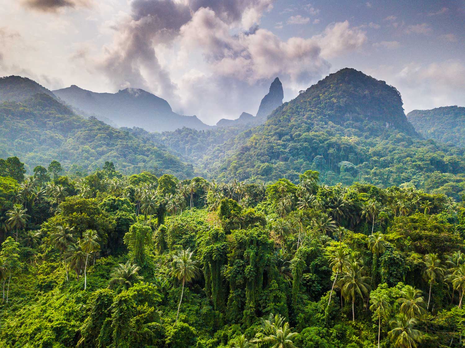 https://www.trackssafaris.co.uk/wp-content/uploads/2022/06/2_1-PRINCIPE-ISLAND-Pico-Papagaio-copyright-Scott-Ramsay-copy.jpg