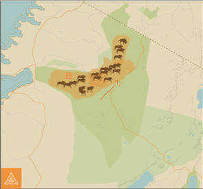 https://www.trackssafaris.co.uk/wp-content/uploads/2022/06/3.png