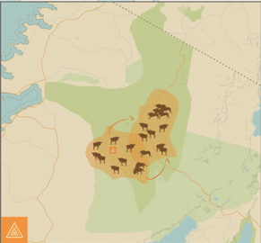 https://www.trackssafaris.co.uk/wp-content/uploads/2022/06/5.png