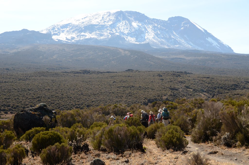 The Lemosho Route