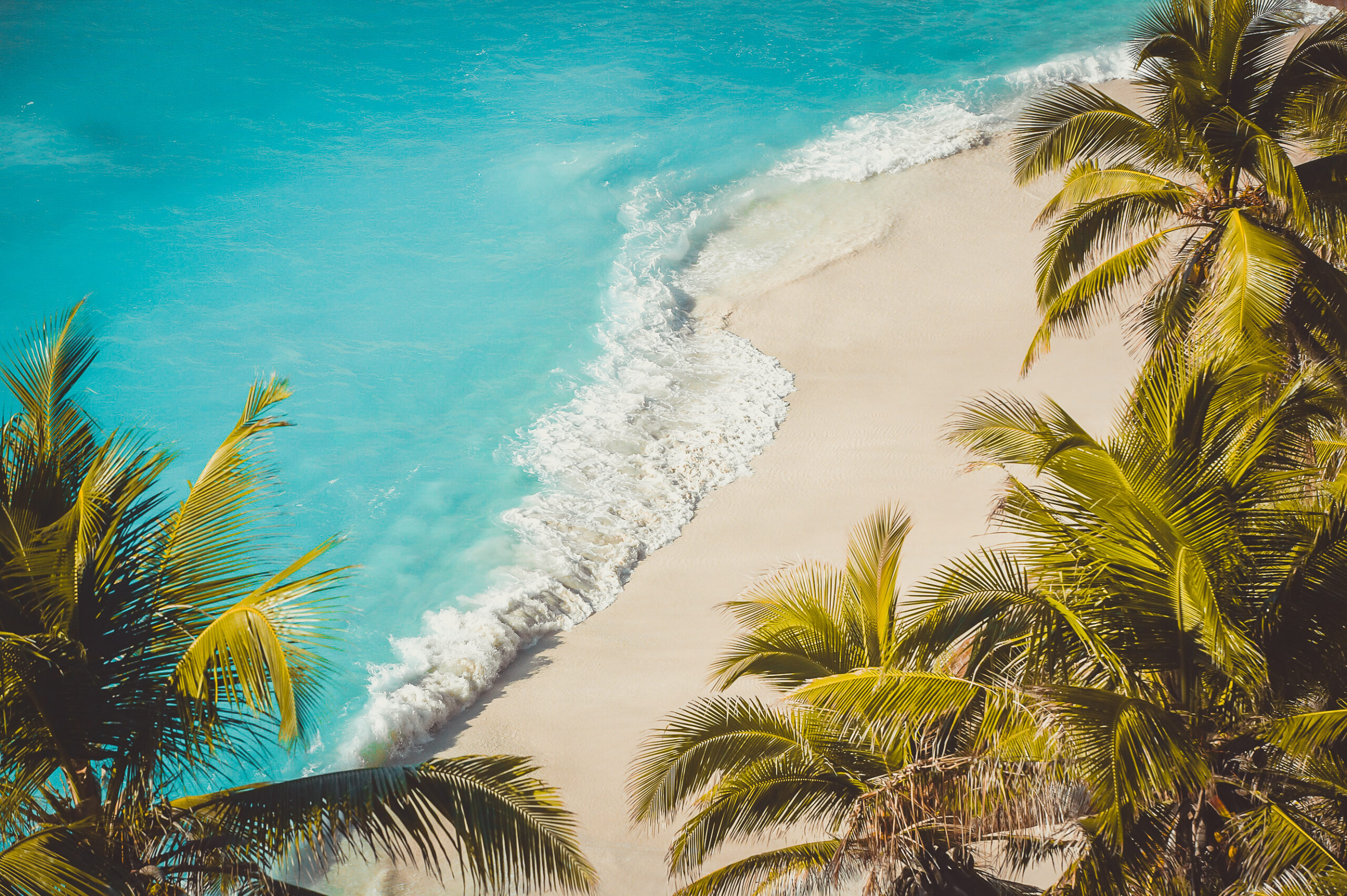 https://www.trackssafaris.co.uk/wp-content/uploads/2022/06/Anse-Macquereau-copy-scaled.jpg