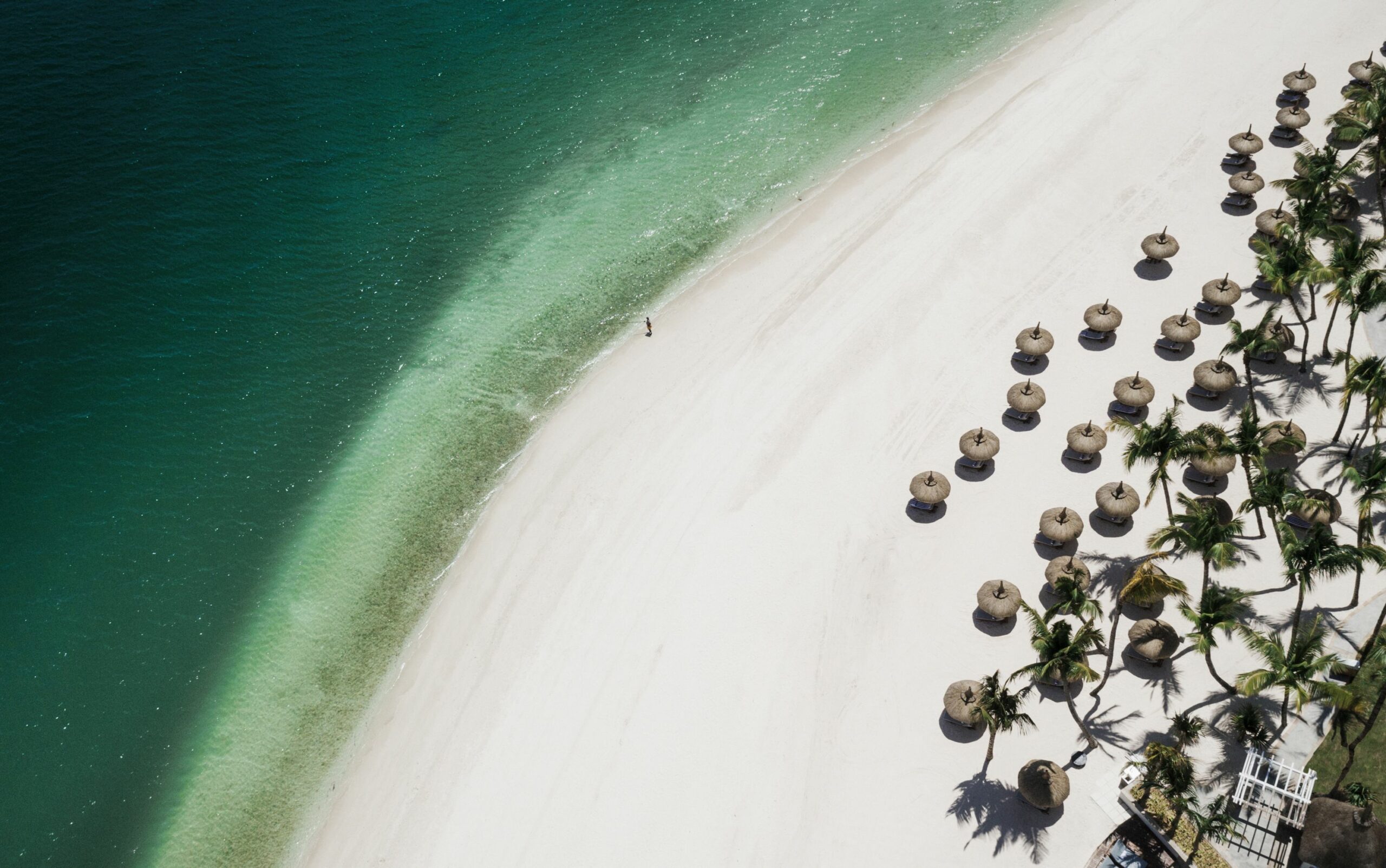 https://www.trackssafaris.co.uk/wp-content/uploads/2022/06/Beach-airiel-scaled.jpg