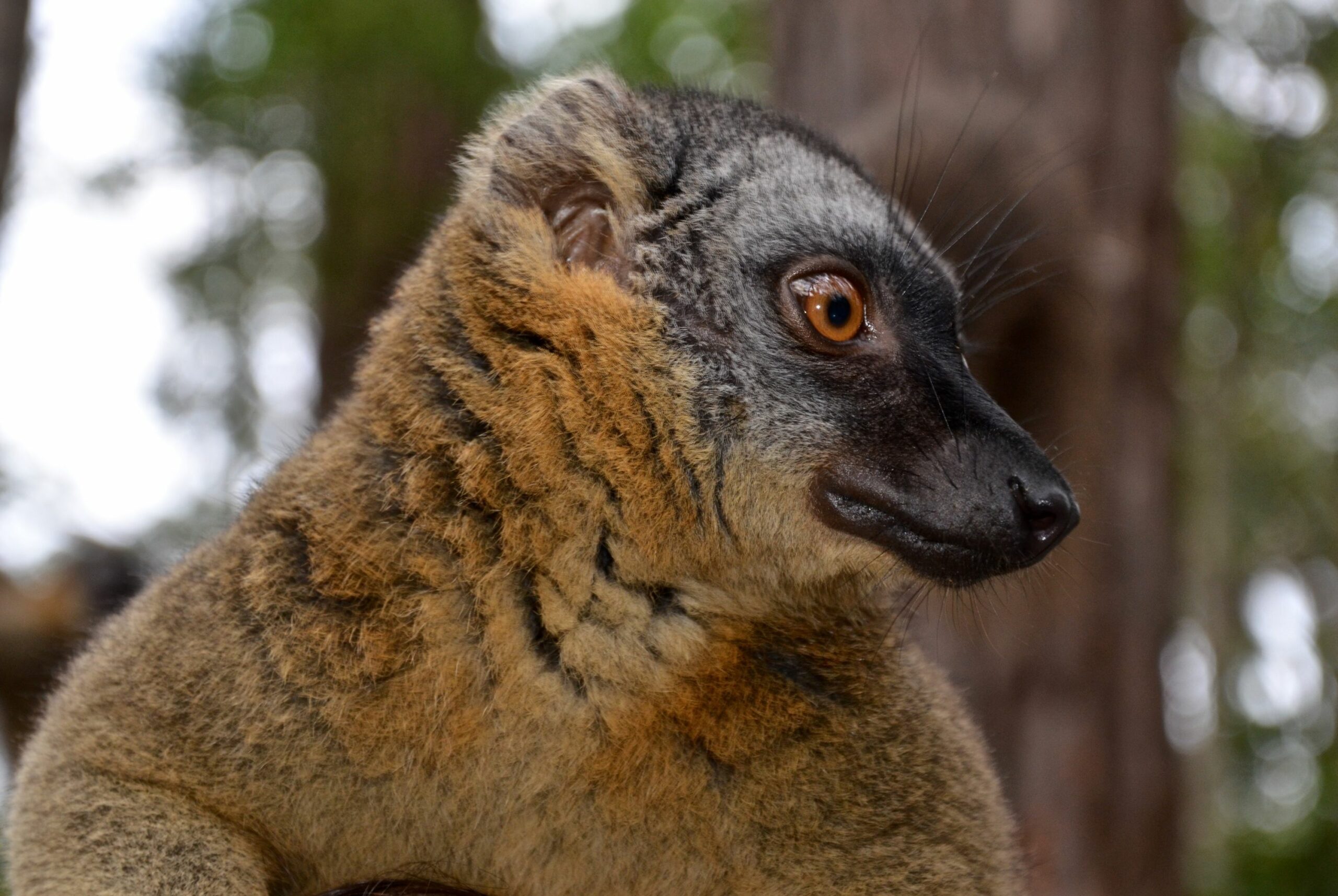 https://www.trackssafaris.co.uk/wp-content/uploads/2022/06/DSC_0183-scaled.jpg