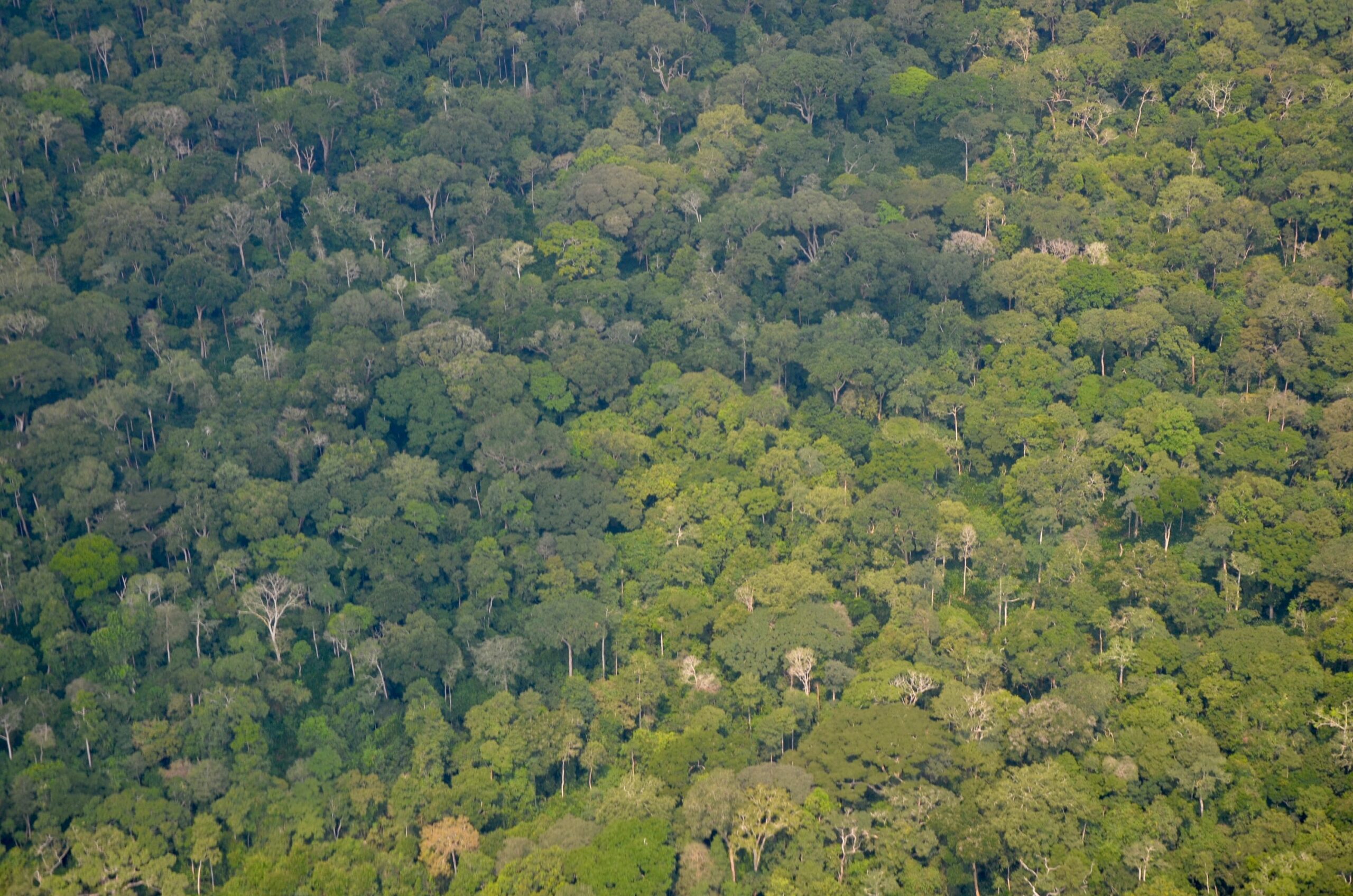 https://www.trackssafaris.co.uk/wp-content/uploads/2022/06/DSC_6080-12-scaled.jpg
