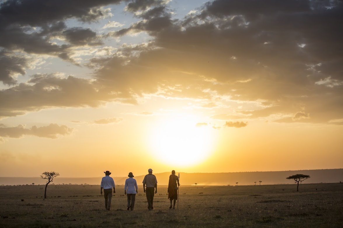 https://www.trackssafaris.co.uk/wp-content/uploads/2022/06/Elephant-Pepper-Camp-activities-bush-walk-cSilverless-15.jpg