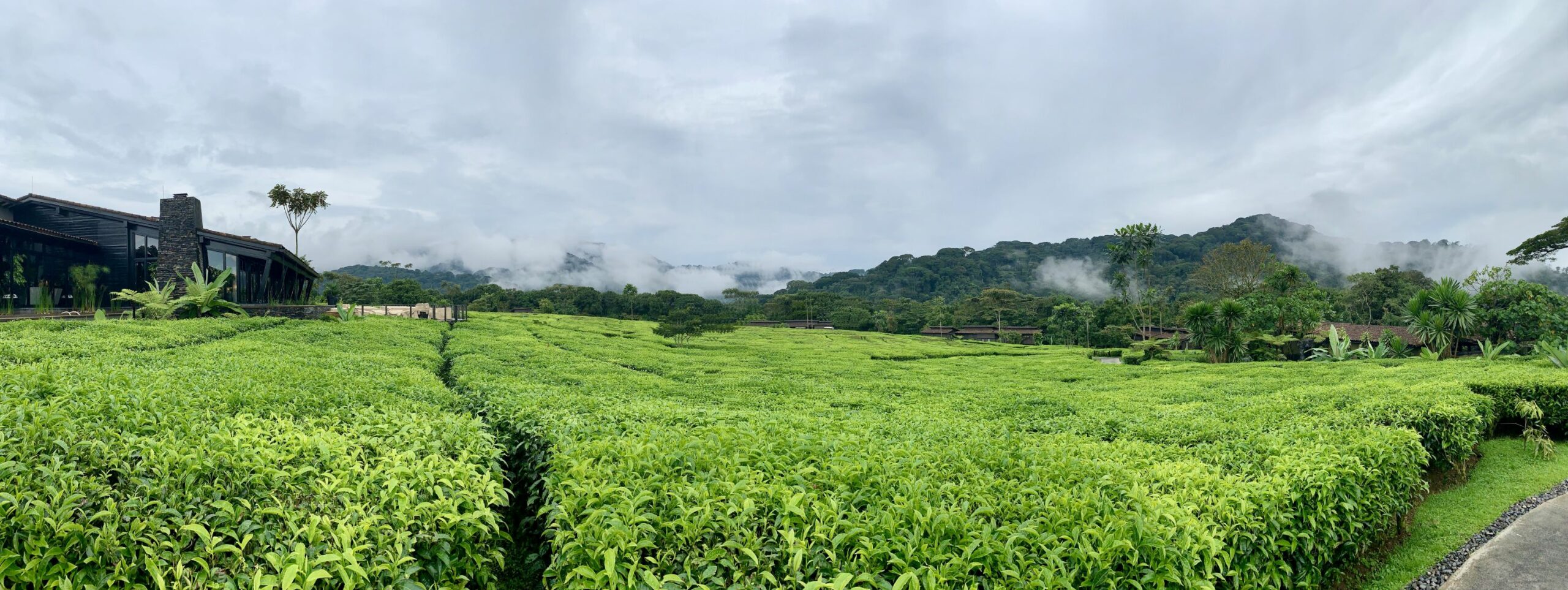 https://www.trackssafaris.co.uk/wp-content/uploads/2022/06/IMG_0598-scaled.jpeg