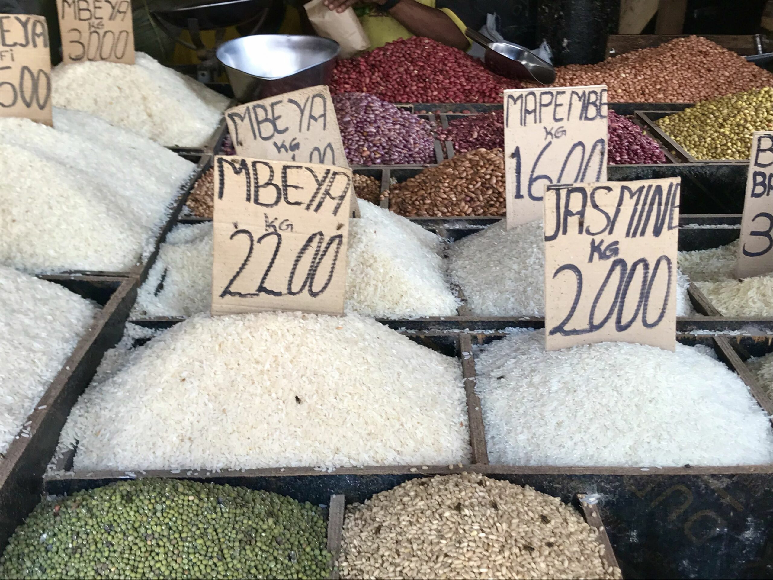 https://www.trackssafaris.co.uk/wp-content/uploads/2022/06/IMG_7593-scaled.jpeg