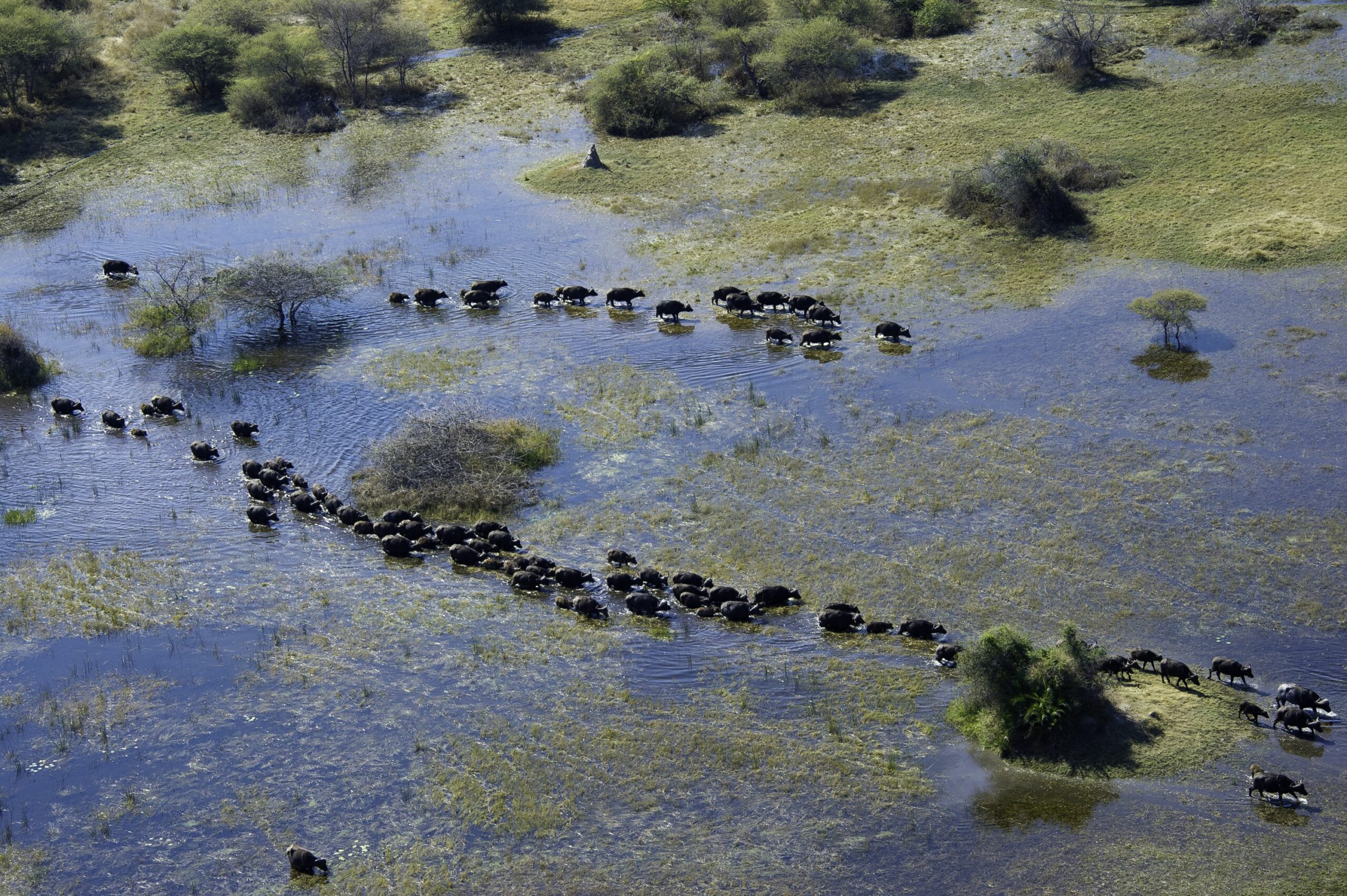https://www.trackssafaris.co.uk/wp-content/uploads/2022/06/Kwedi-2011-07-082-copy-1-scaled.jpg
