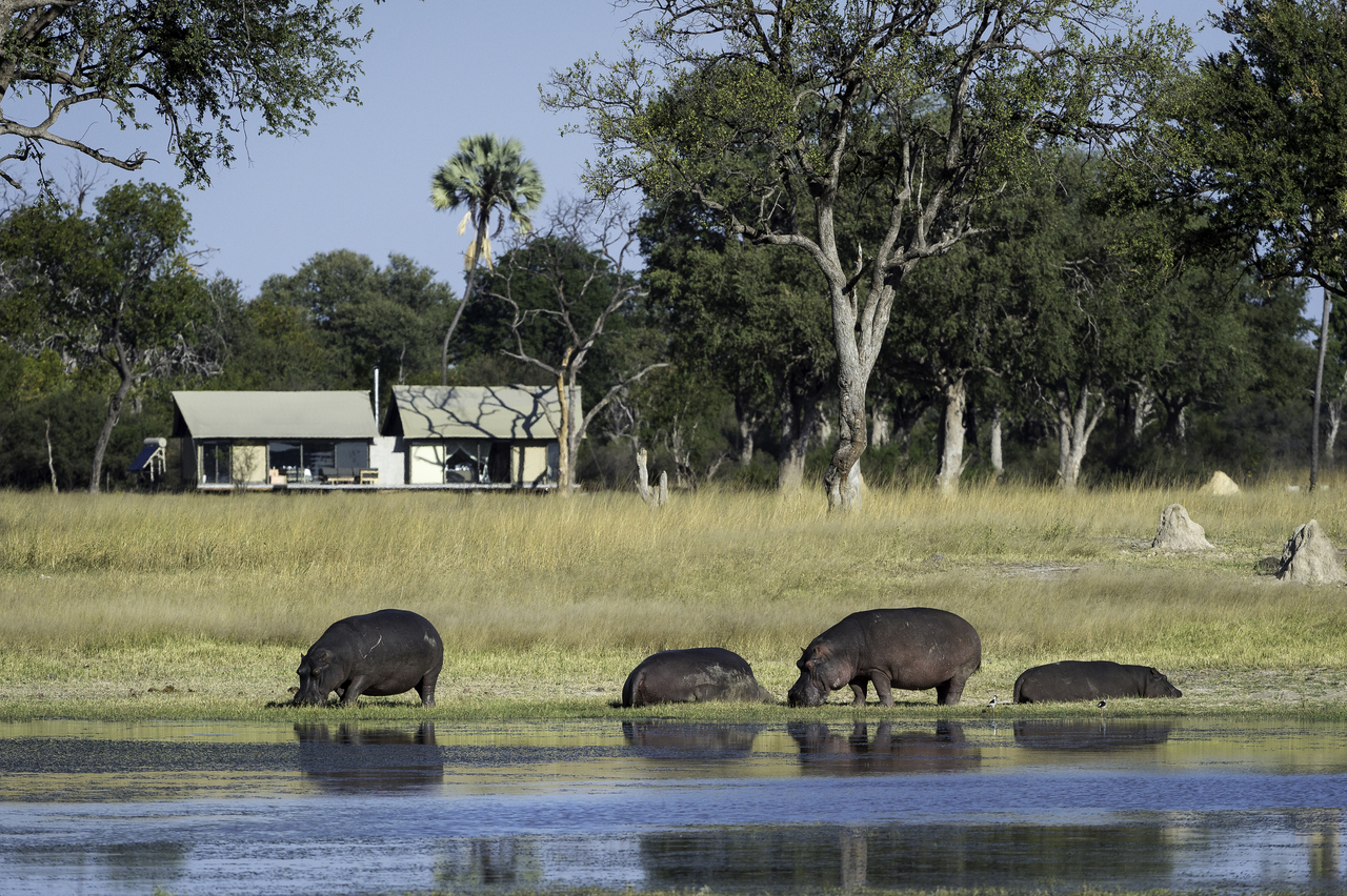 https://www.trackssafaris.co.uk/wp-content/uploads/2022/06/Linkwasha_2015-family.jpg