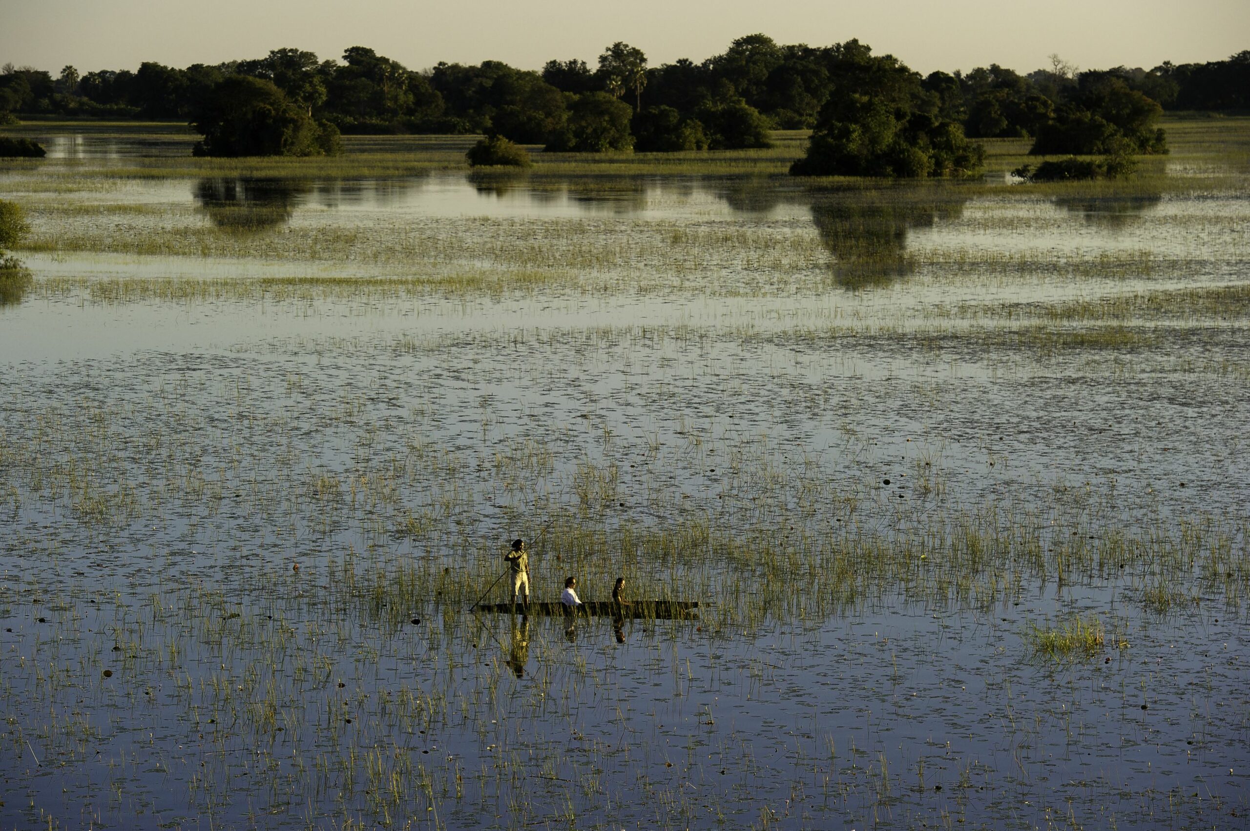 https://www.trackssafaris.co.uk/wp-content/uploads/2022/06/MOKORO-1-scaled.jpg