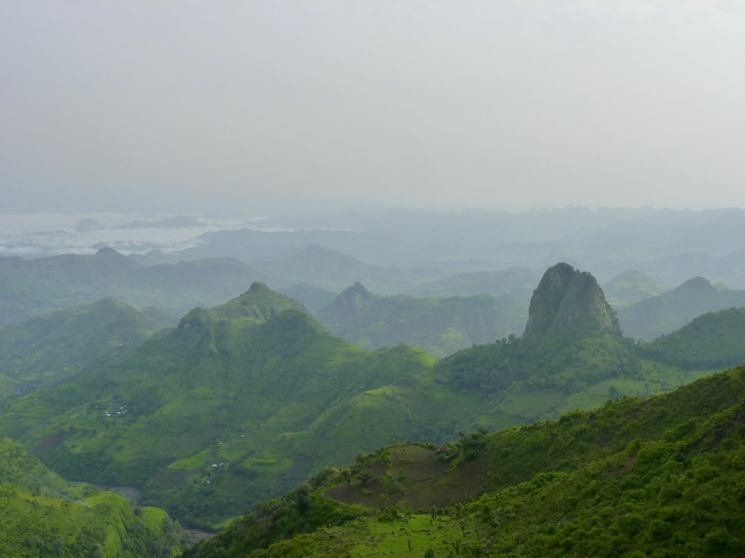 https://www.trackssafaris.co.uk/wp-content/uploads/2022/06/P1130684-scaled.jpeg