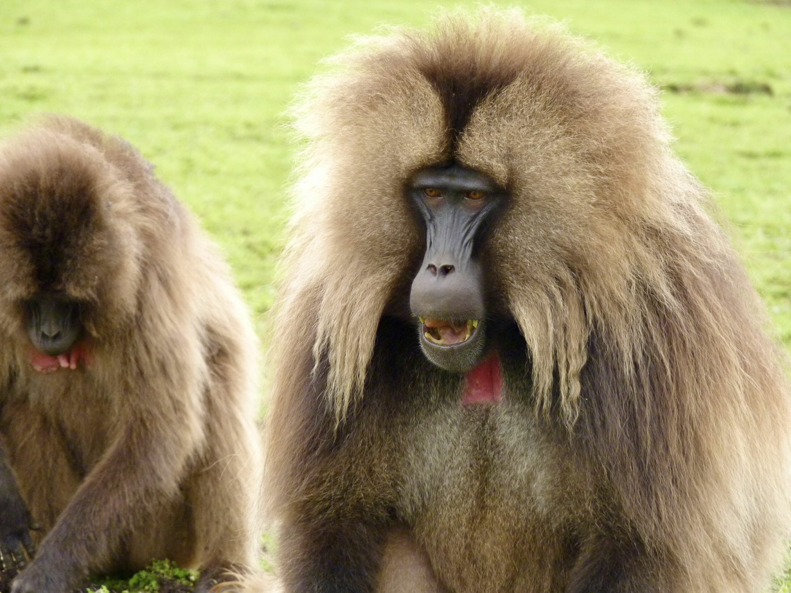 https://www.trackssafaris.co.uk/wp-content/uploads/2022/06/P1130805-scaled.jpeg