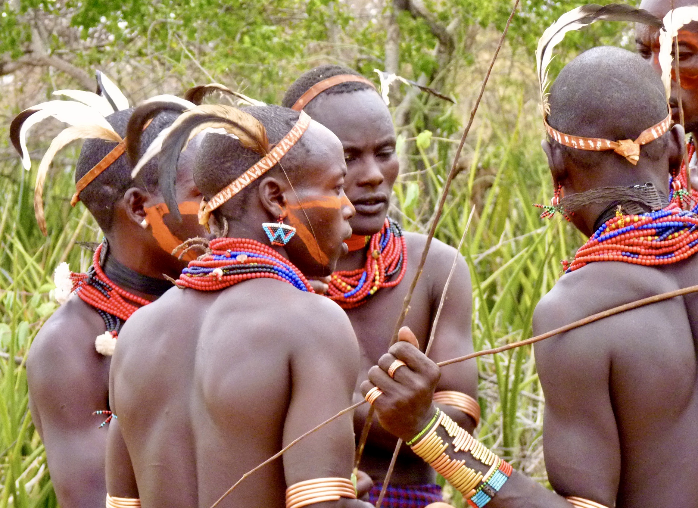 https://www.trackssafaris.co.uk/wp-content/uploads/2022/06/P1140260.jpeg