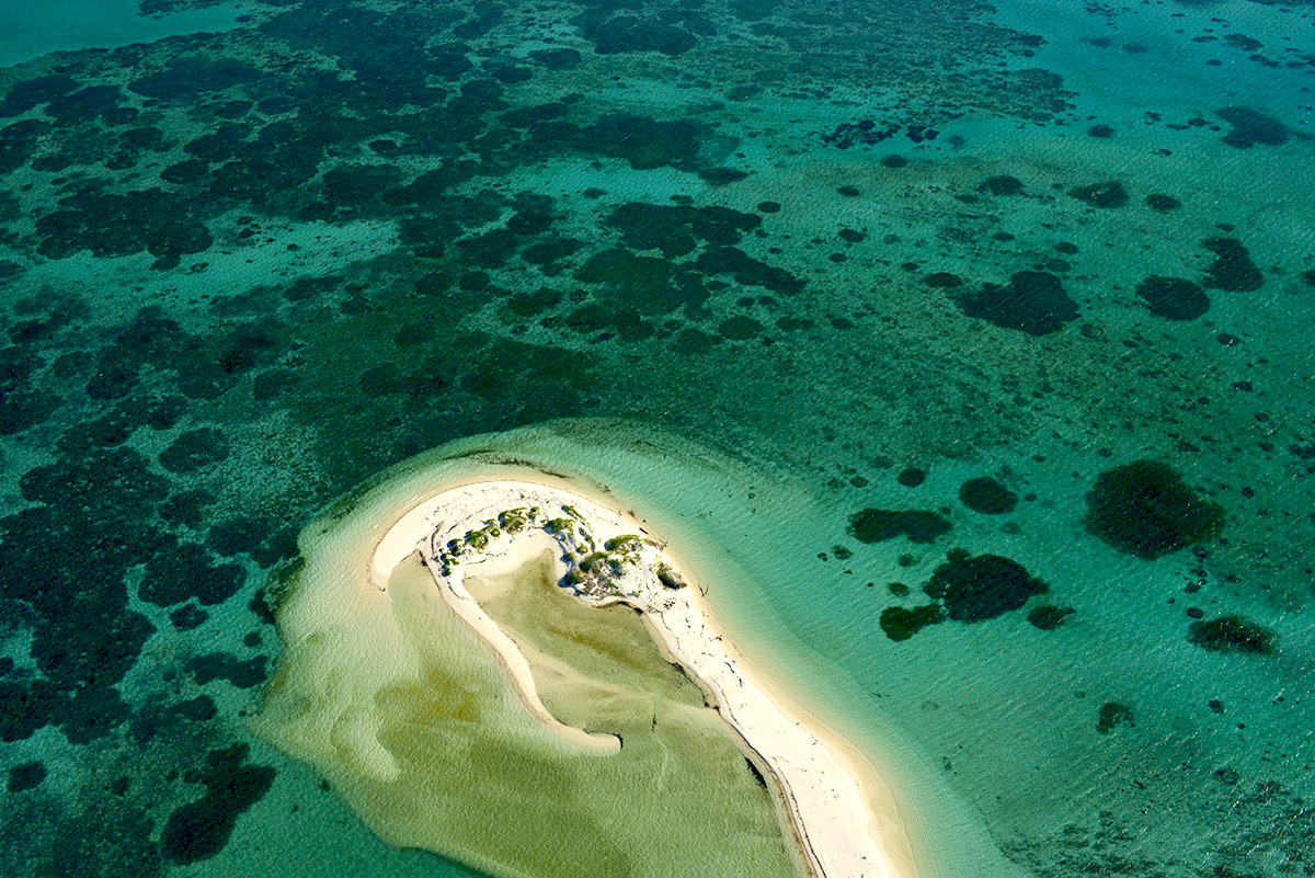 https://www.trackssafaris.co.uk/wp-content/uploads/2022/06/RG1_2744-copy.jpg