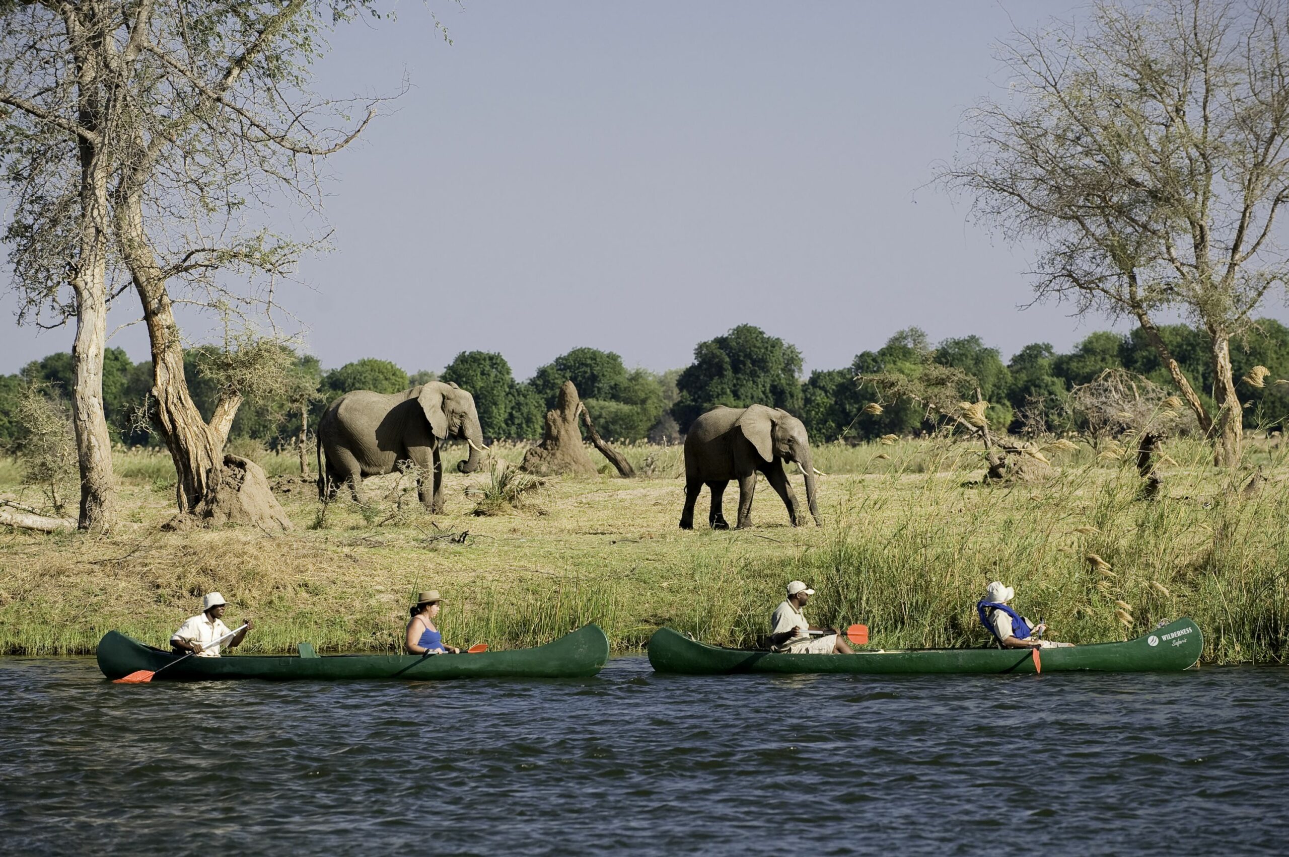 https://www.trackssafaris.co.uk/wp-content/uploads/2022/06/Rukomechi-canoeing1-scaled.jpg