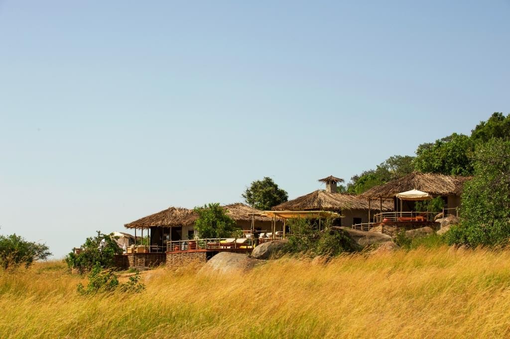 safari house