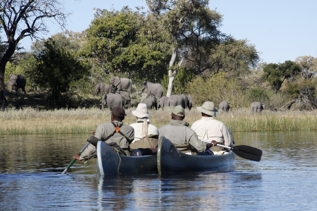 https://www.trackssafaris.co.uk/wp-content/uploads/2022/06/great_plains_canoe_elephants-1024x682-1.jpg