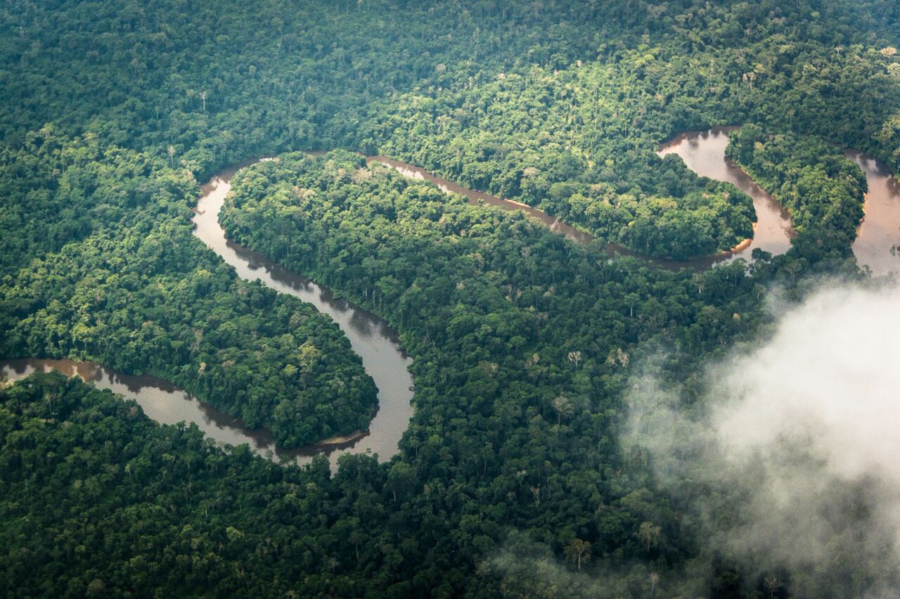 https://www.trackssafaris.co.uk/wp-content/uploads/2022/06/odzala-airial-low-res.jpg