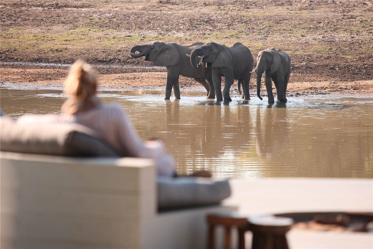 https://www.trackssafaris.co.uk/wp-content/uploads/2022/07/033_Watching-Eles-Drink-From-The-Lounge_large.jpg