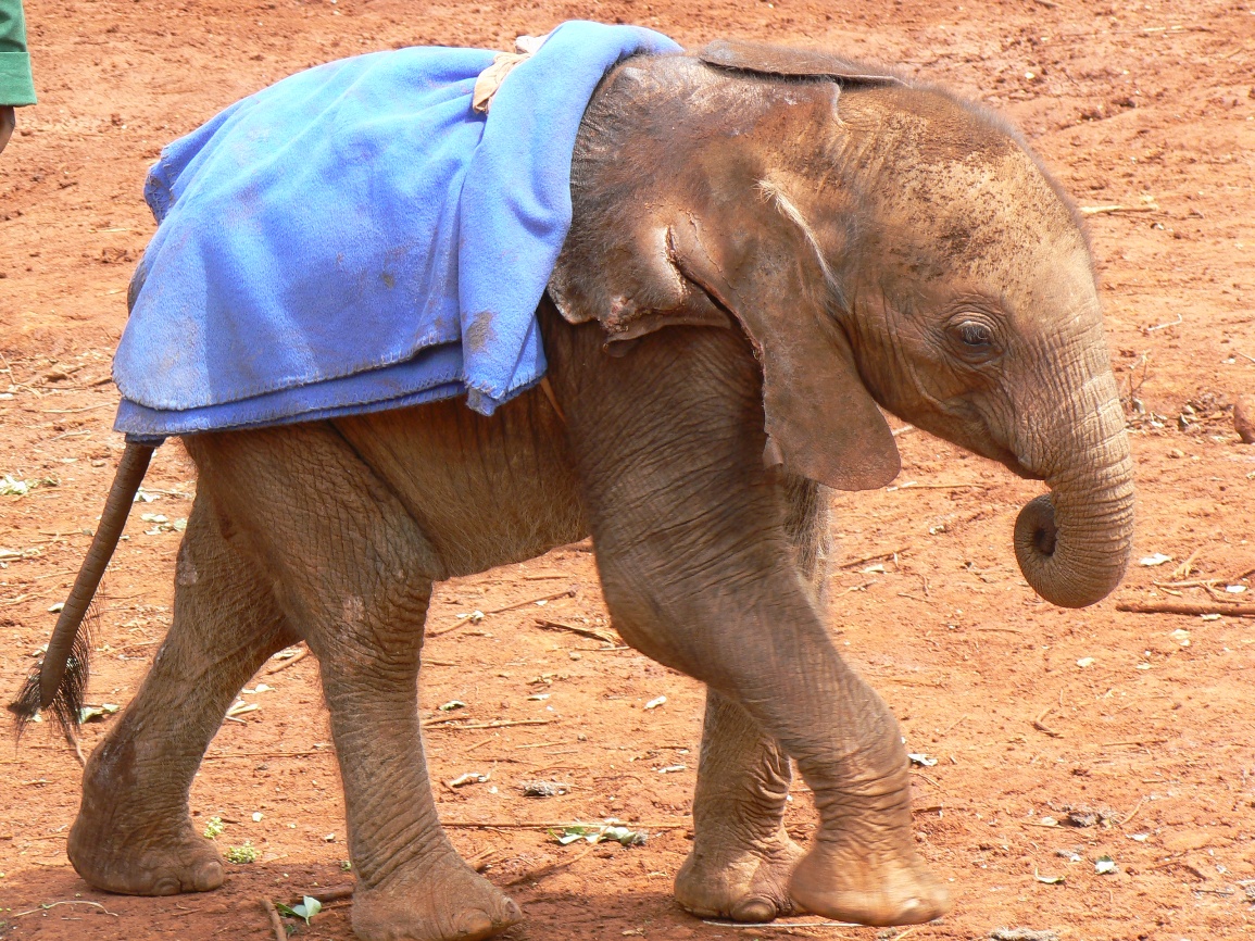 /wp-content/uploads/2022/07/0610-Kenya-Sue-328-2.jpg