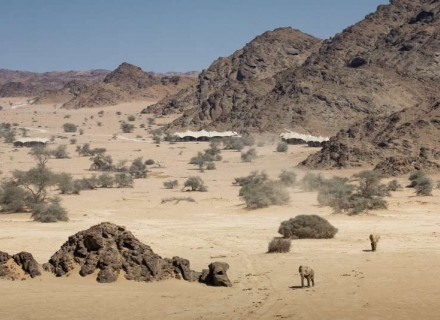 Hoanib Skeleton Coast Palmwag Concession Kunene