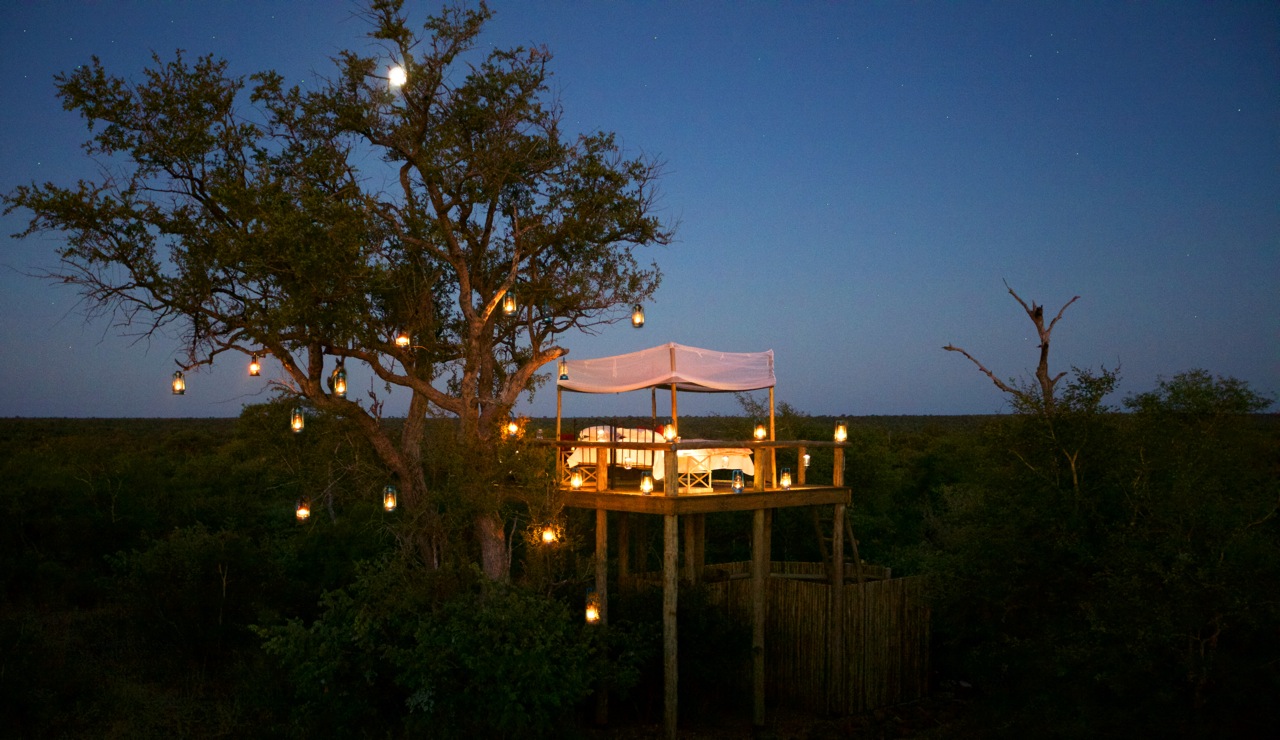 /wp-content/uploads/2022/07/11_2-TANDA-TULA-Safari-Camp-Star-Bed-by-night-copy.jpg