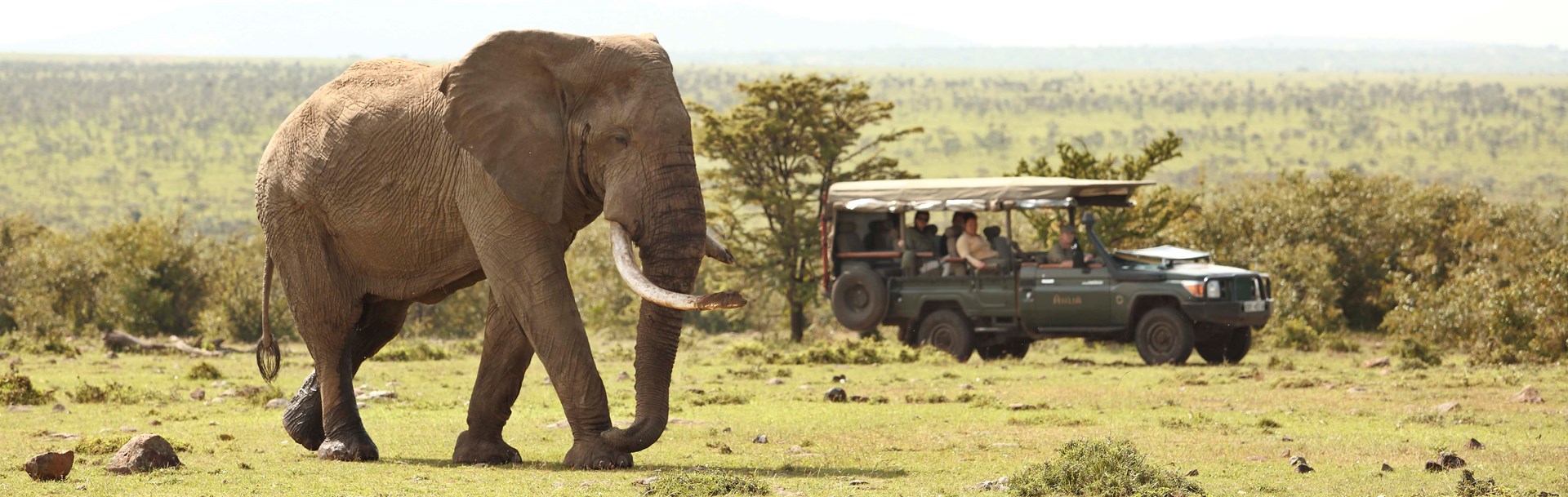 /wp-content/uploads/2022/07/12-encounter-mara-game-drive.jpg