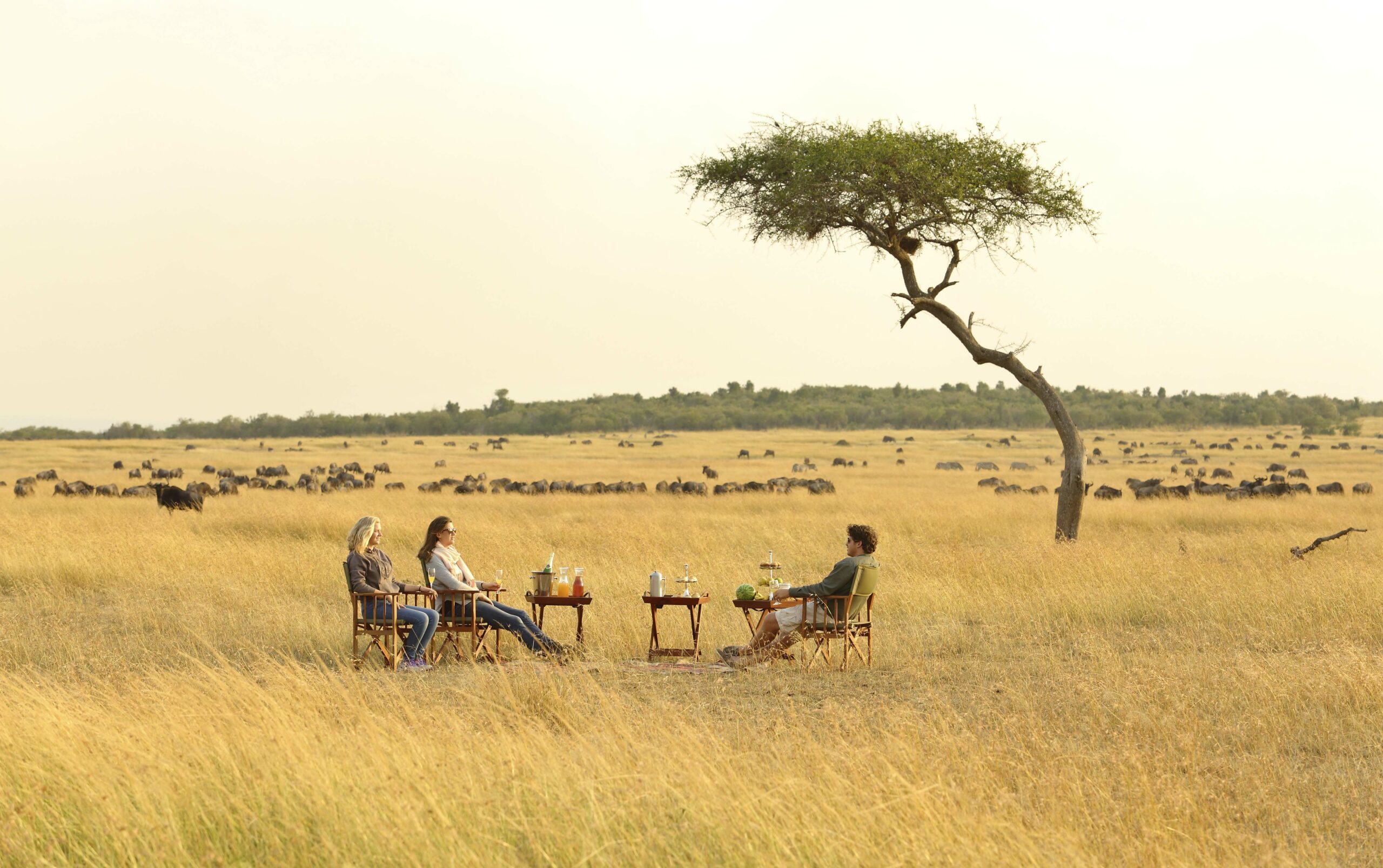 /wp-content/uploads/2022/07/12-kimondo-camp-sundowners-scaled.jpg