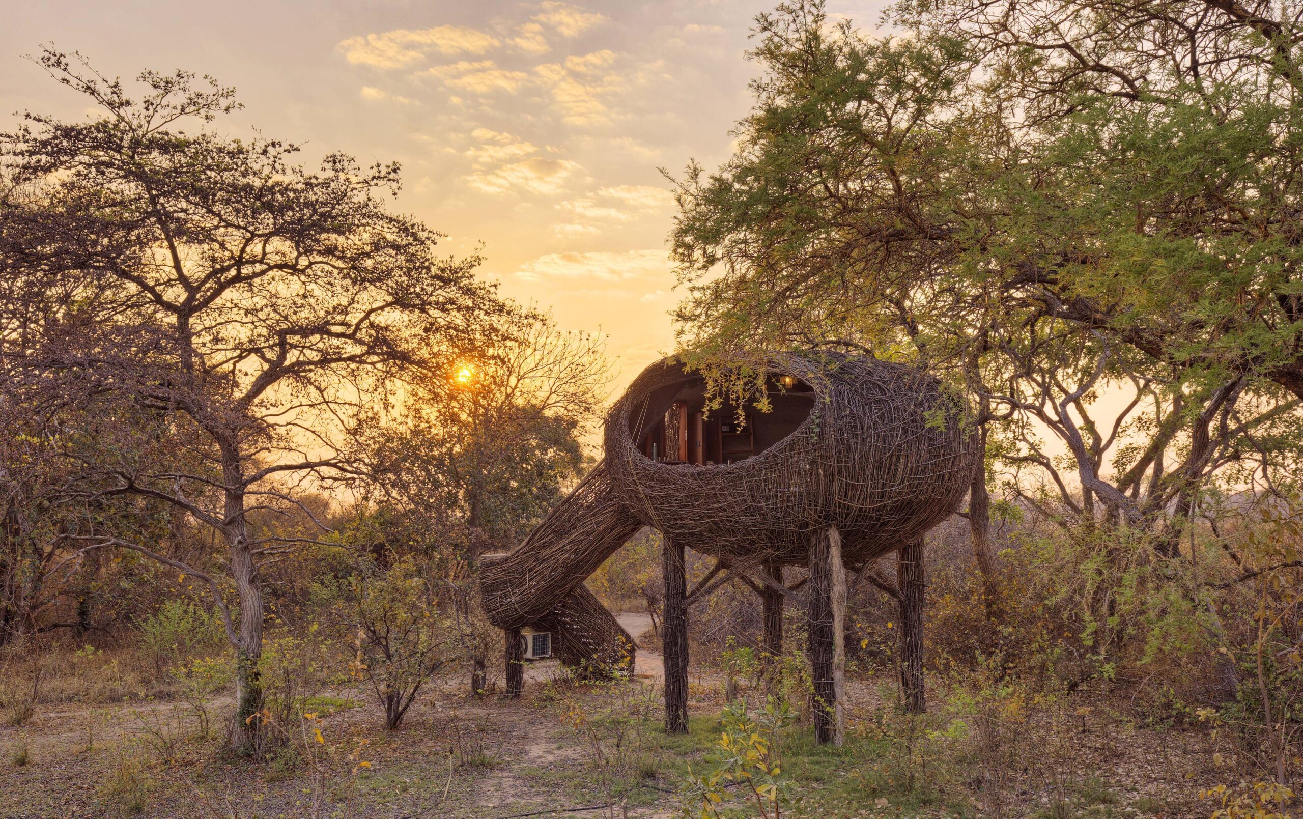 Chisa Busanga Camp – Busanga Plains – Kafue National Park