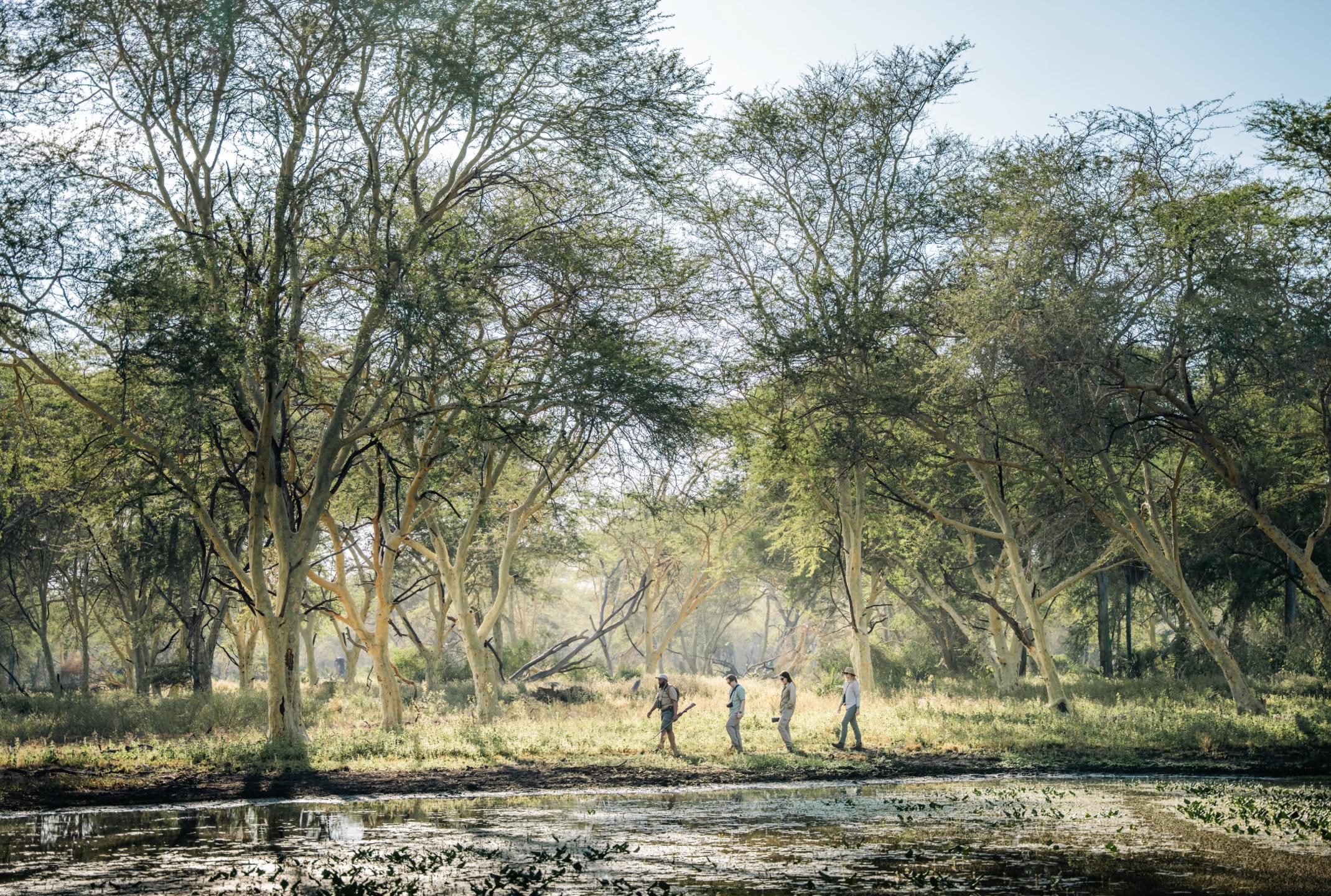 Muzimu Lodge – Gorongosa National Park