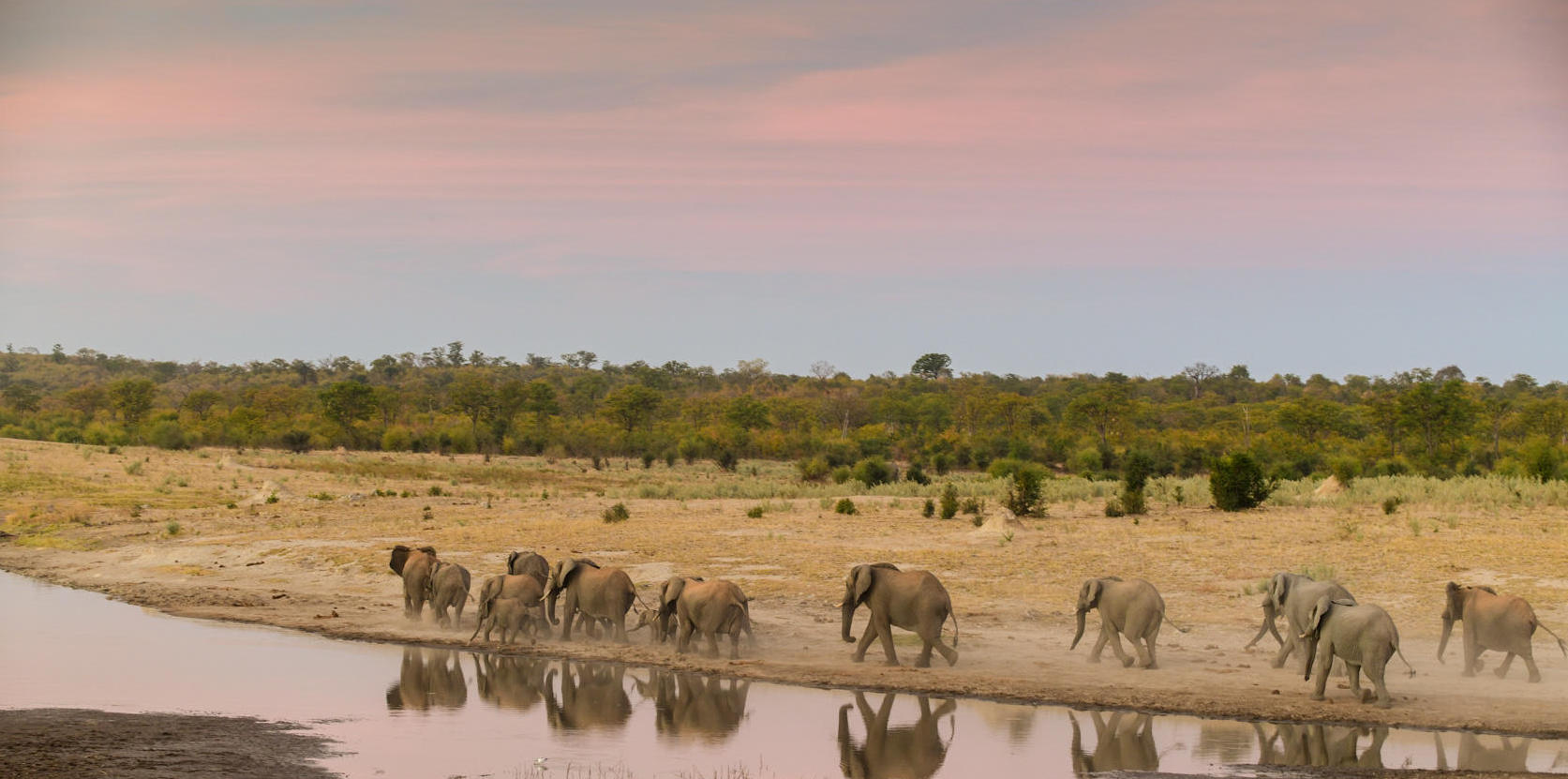 https://www.trackssafaris.co.uk/wp-content/uploads/2022/07/201907_zimbabwe_2631.jpg