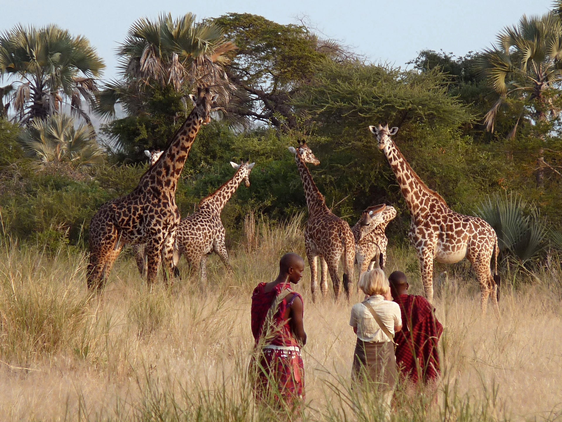 /wp-content/uploads/2022/07/A-Walking-Safari.jpg