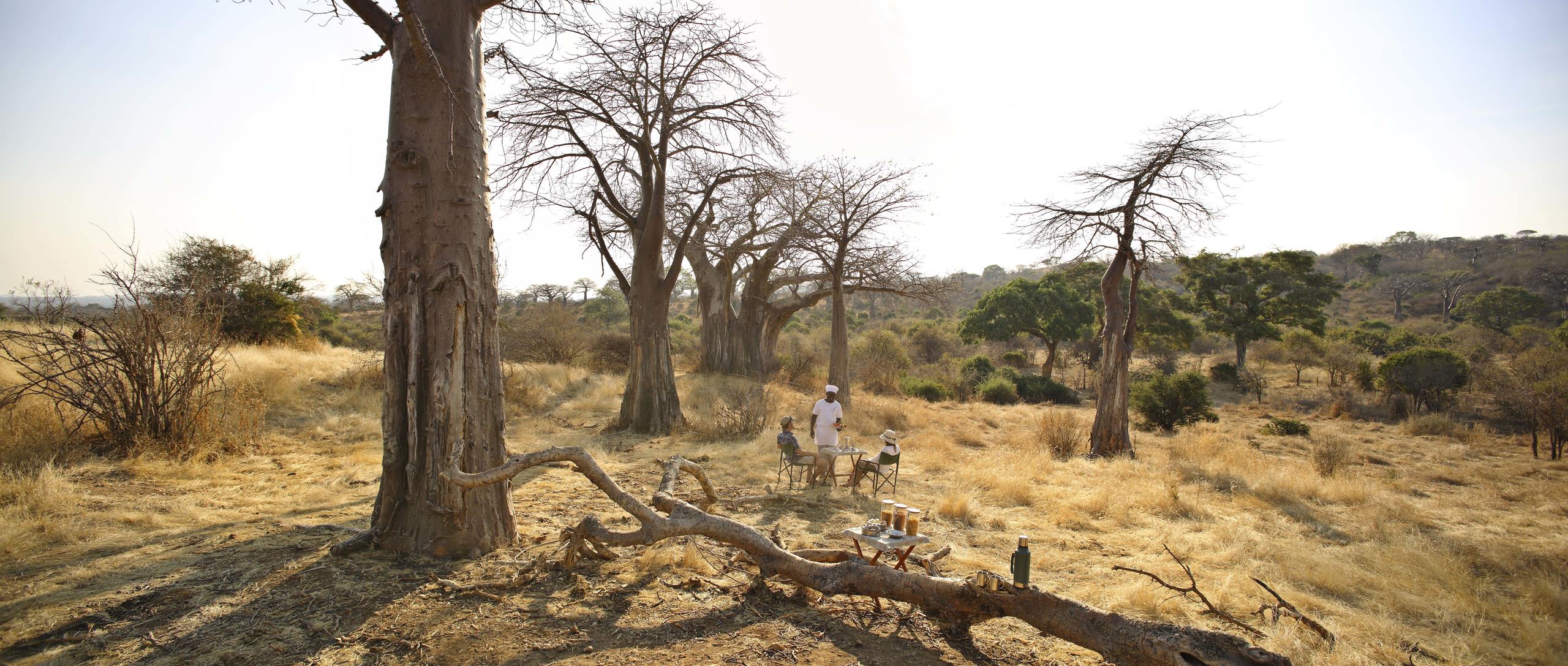 /wp-content/uploads/2022/07/Baobabs-bush-breakfast.jpg