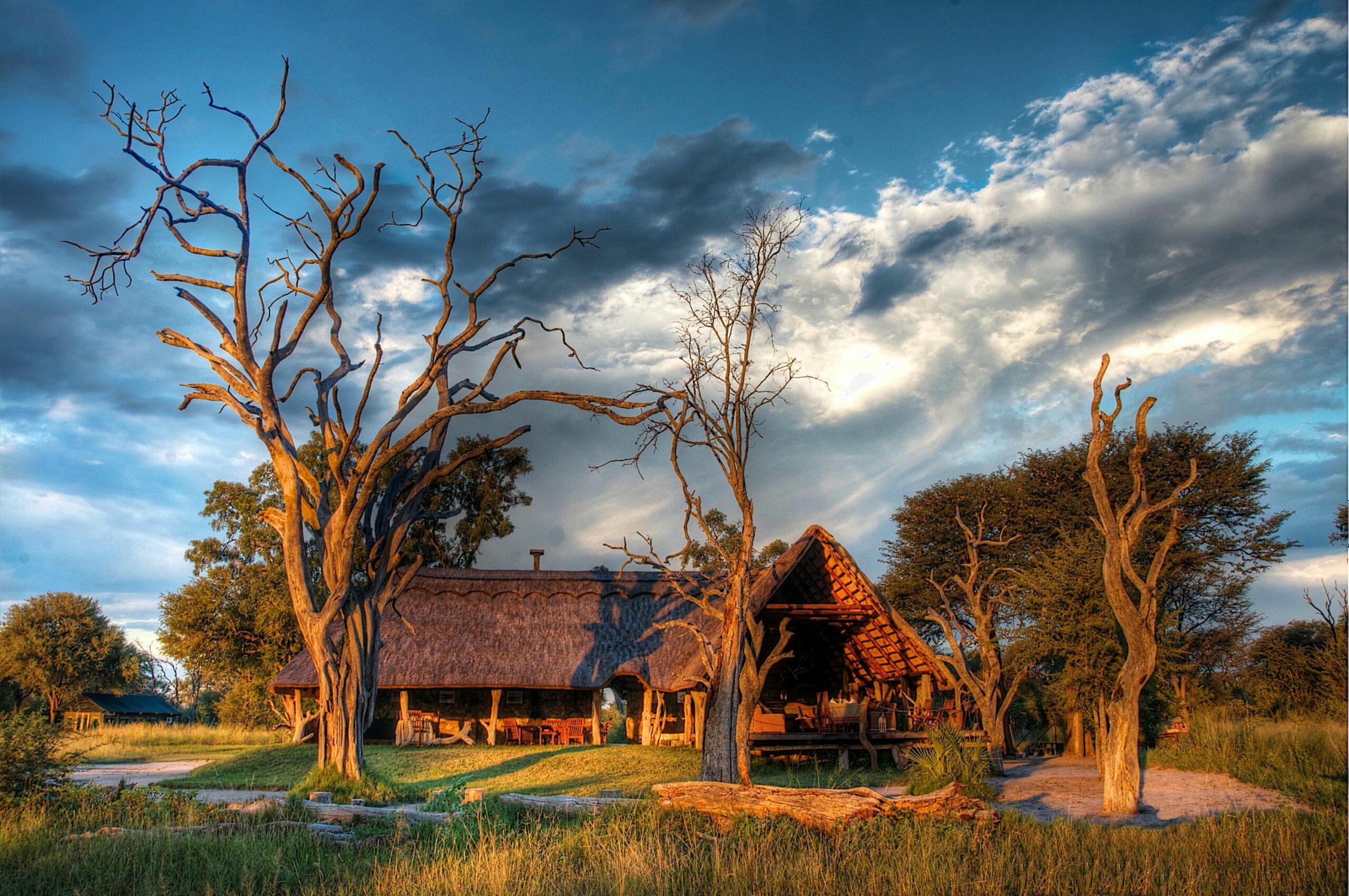 https://www.trackssafaris.co.uk/wp-content/uploads/2022/07/Bomani-Tented-Lodge-scaled.jpg