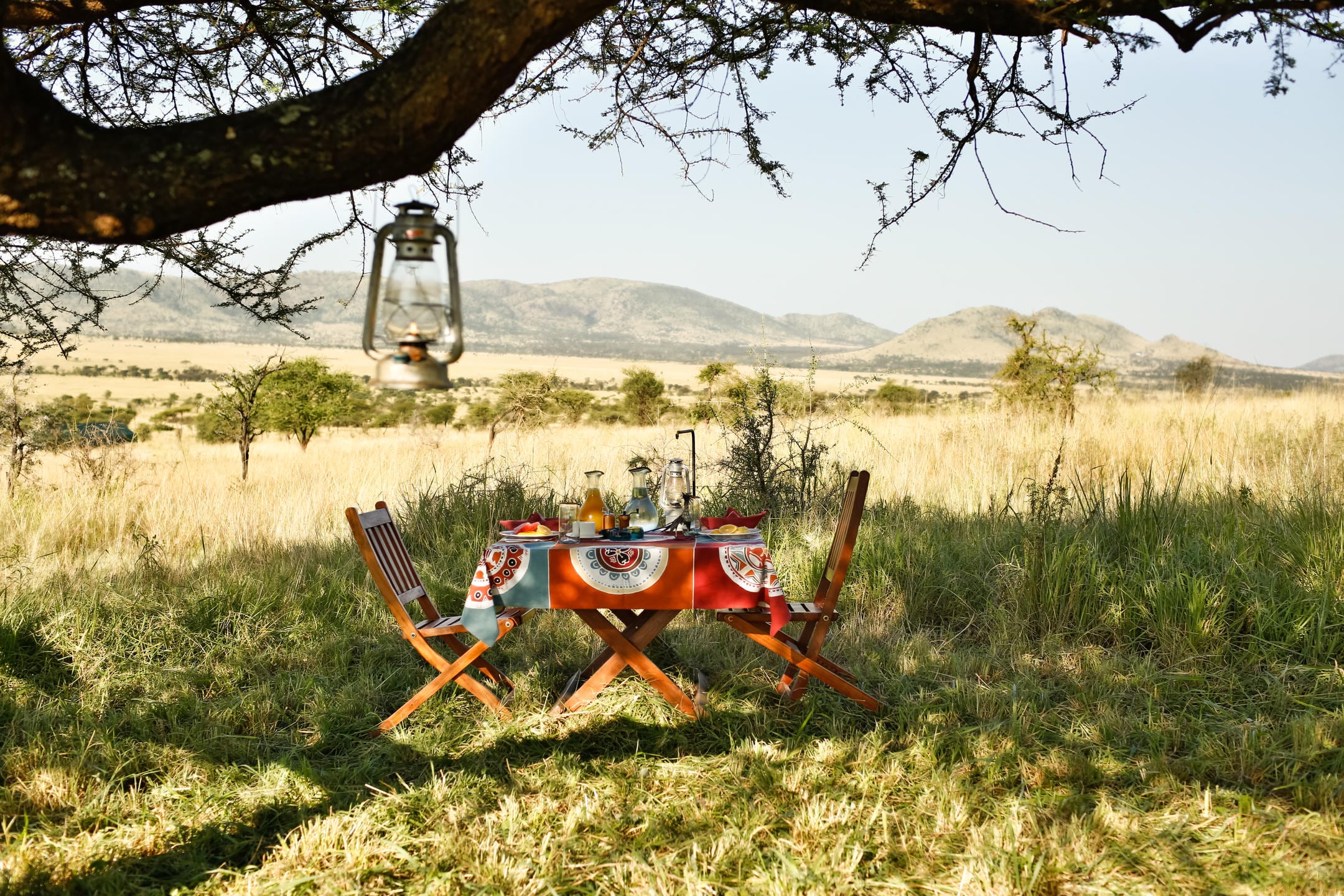 /wp-content/uploads/2022/07/Bush-Breakfast.jpg