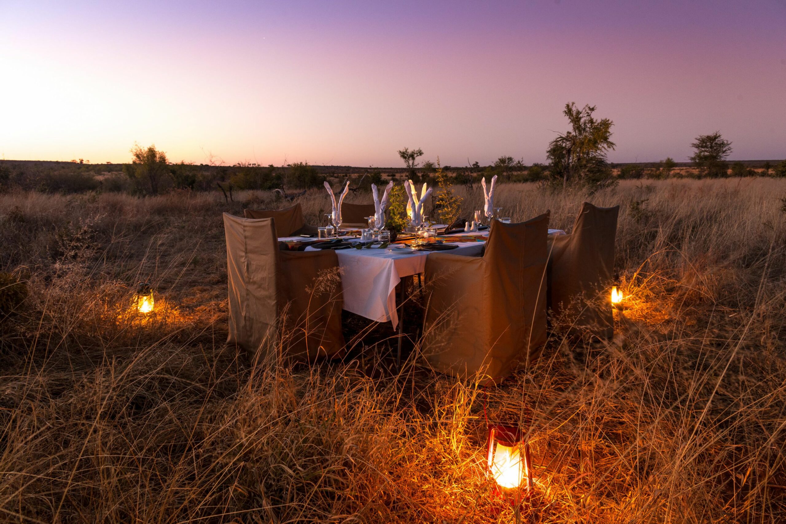 https://www.trackssafaris.co.uk/wp-content/uploads/2022/07/Bush-Dinner1-scaled.jpg