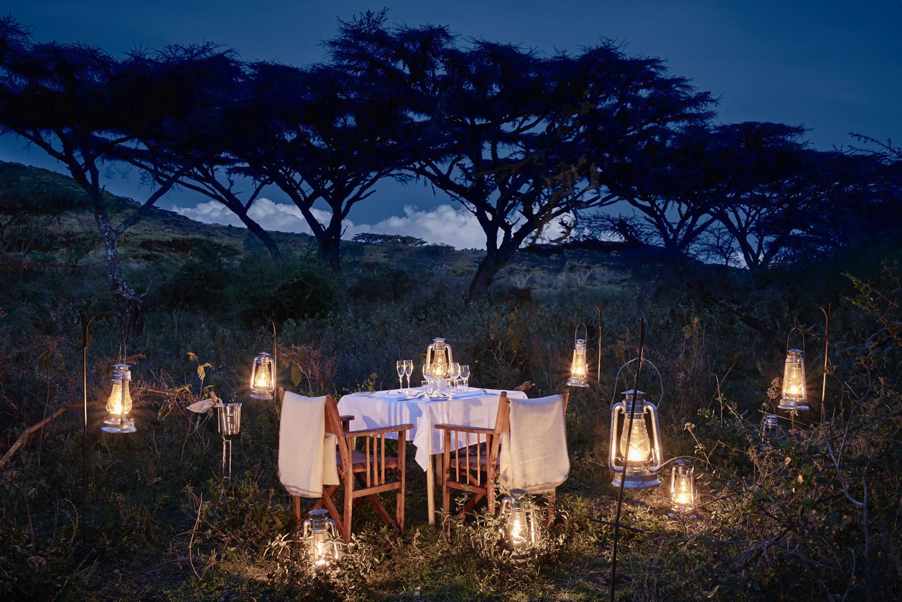 /wp-content/uploads/2022/07/Bush-dinner.jpg