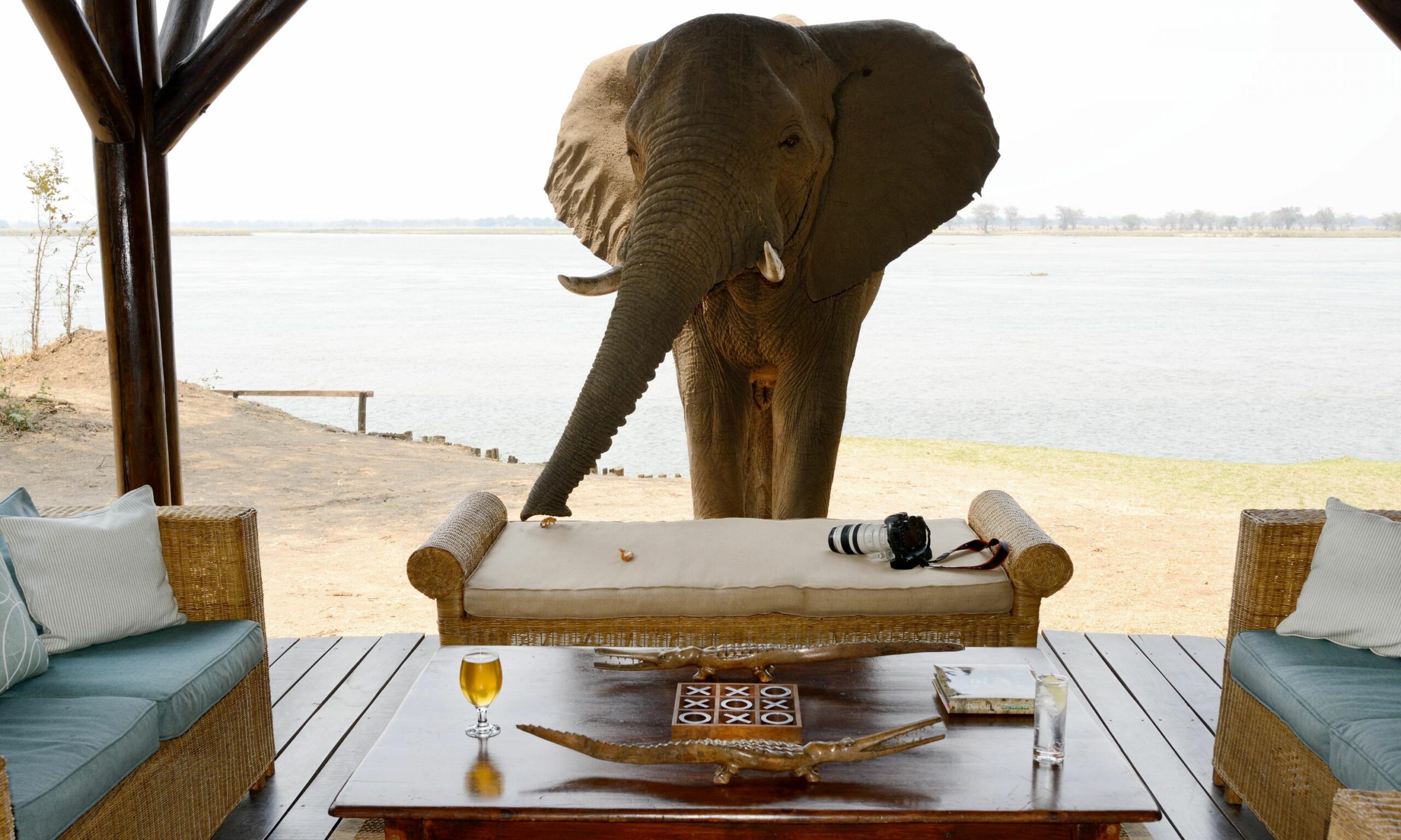 https://trackssafaris.wpenginepowered.com/wp-content/uploads/2022/07/Chiawa-Camp-where-the-wildlife-comes-to-you--scaled.jpg