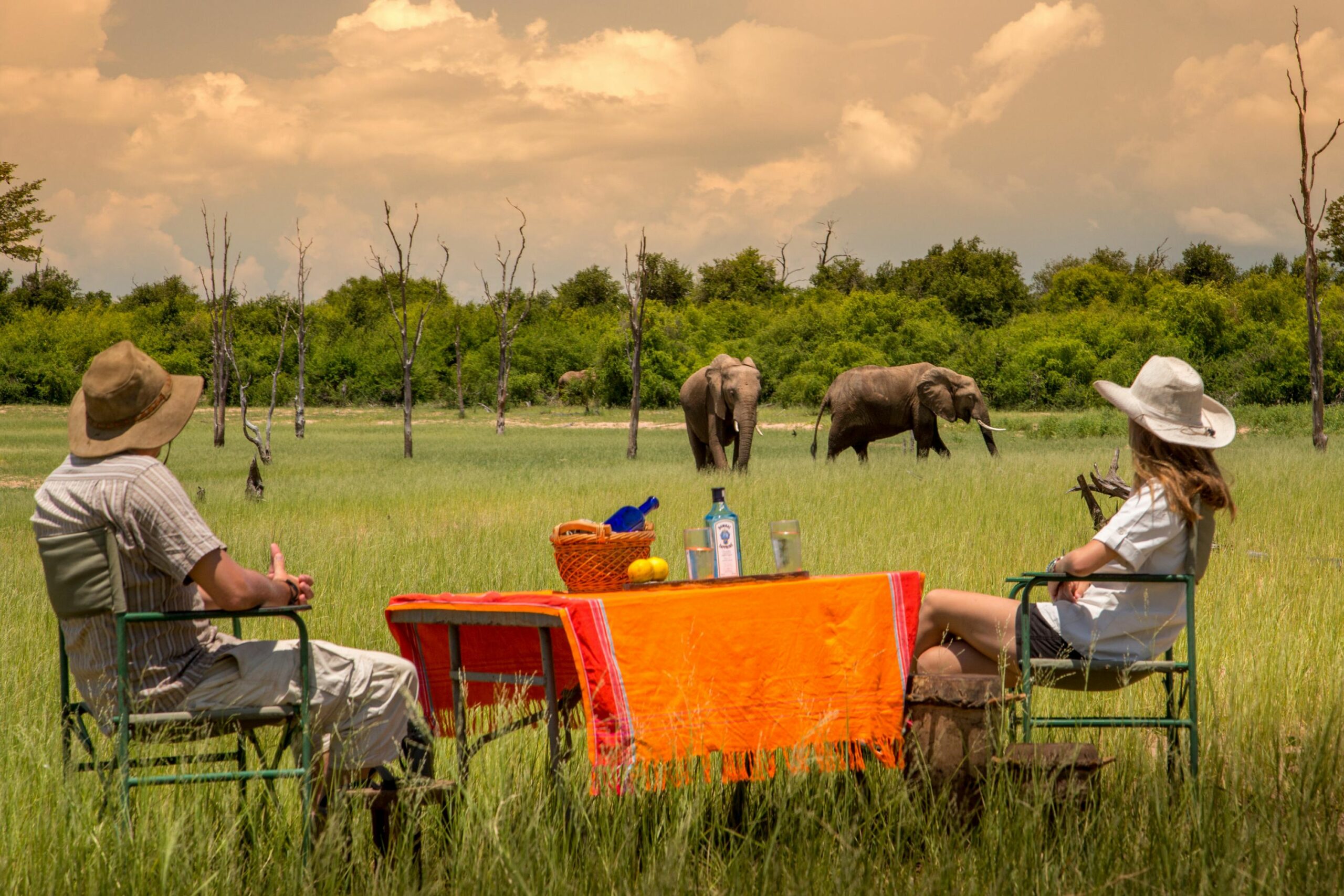 https://www.trackssafaris.co.uk/wp-content/uploads/2022/07/Close-to-the-elephants-scaled.jpg