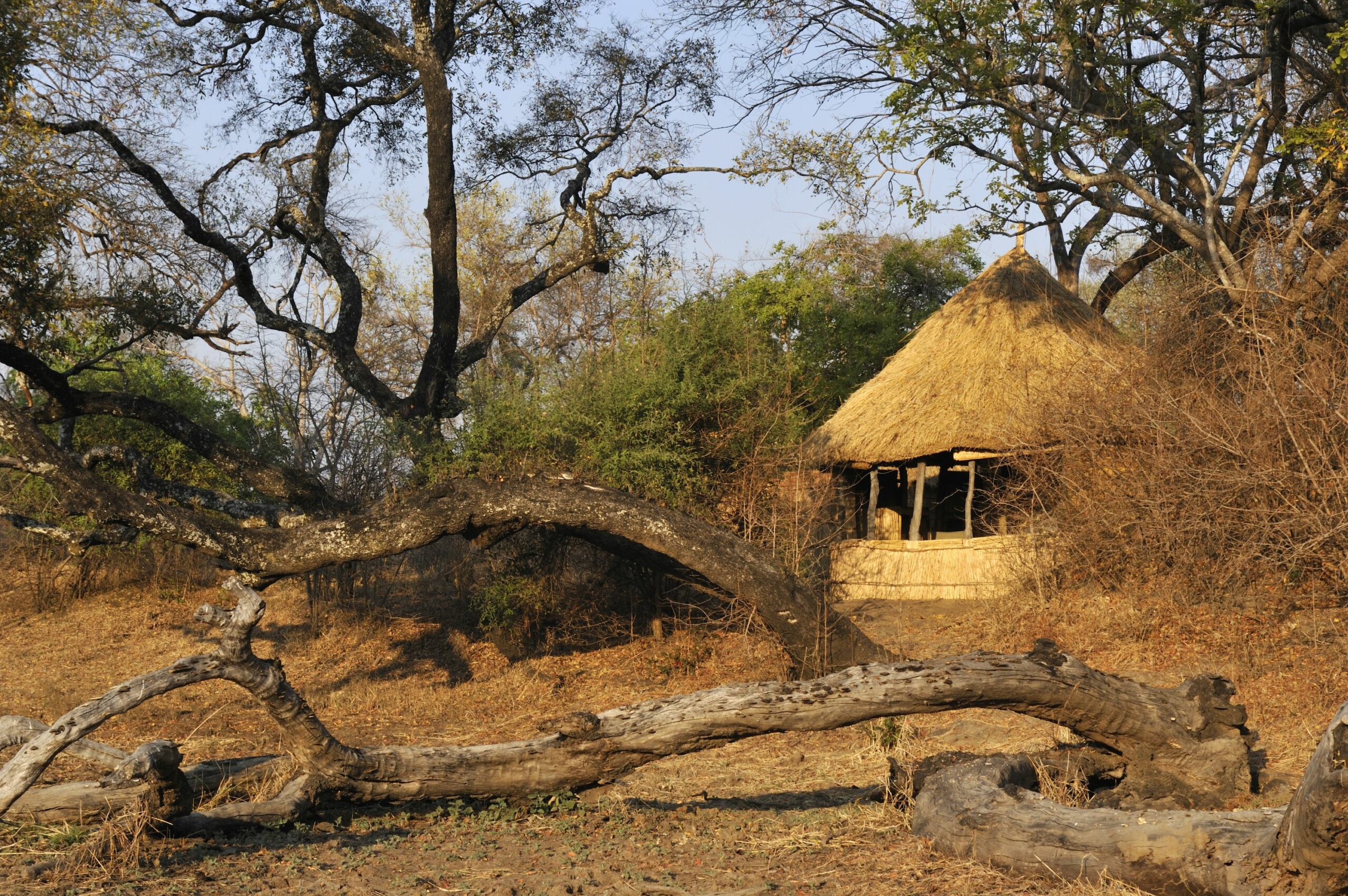 https://www.trackssafaris.co.uk/wp-content/uploads/2022/07/Crocodile-Camp_double-chalet-Rm3-outlook-copy-scaled.jpg