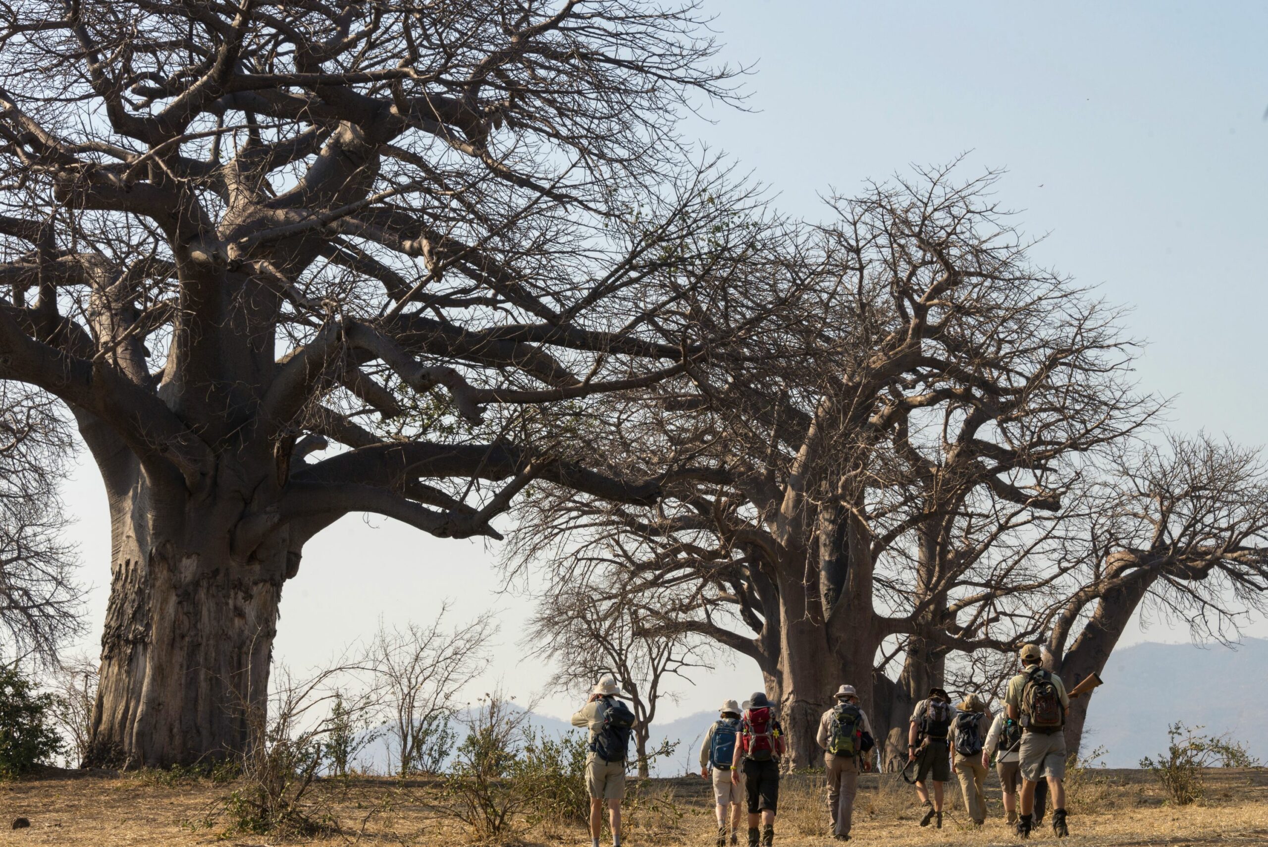 https://www.trackssafaris.co.uk/wp-content/uploads/2022/07/DSC6906-copy-scaled.jpg