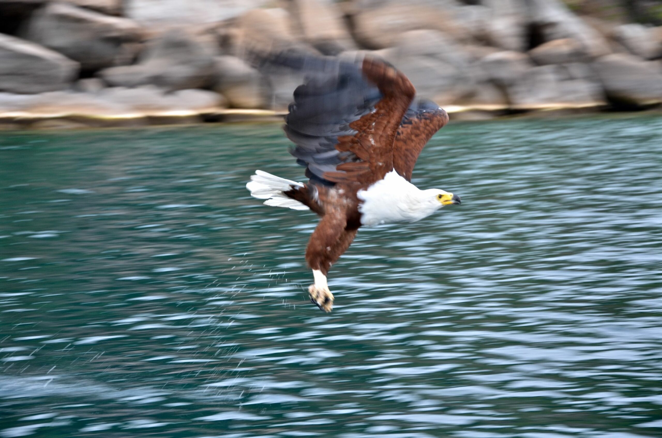 /wp-content/uploads/2022/07/DSC_4119-1-scaled.jpg