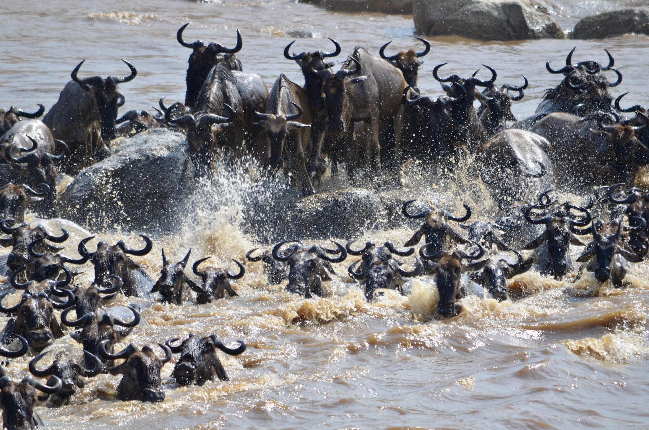 14 Night Serengeti Migration Safari with Fanjove Private Island