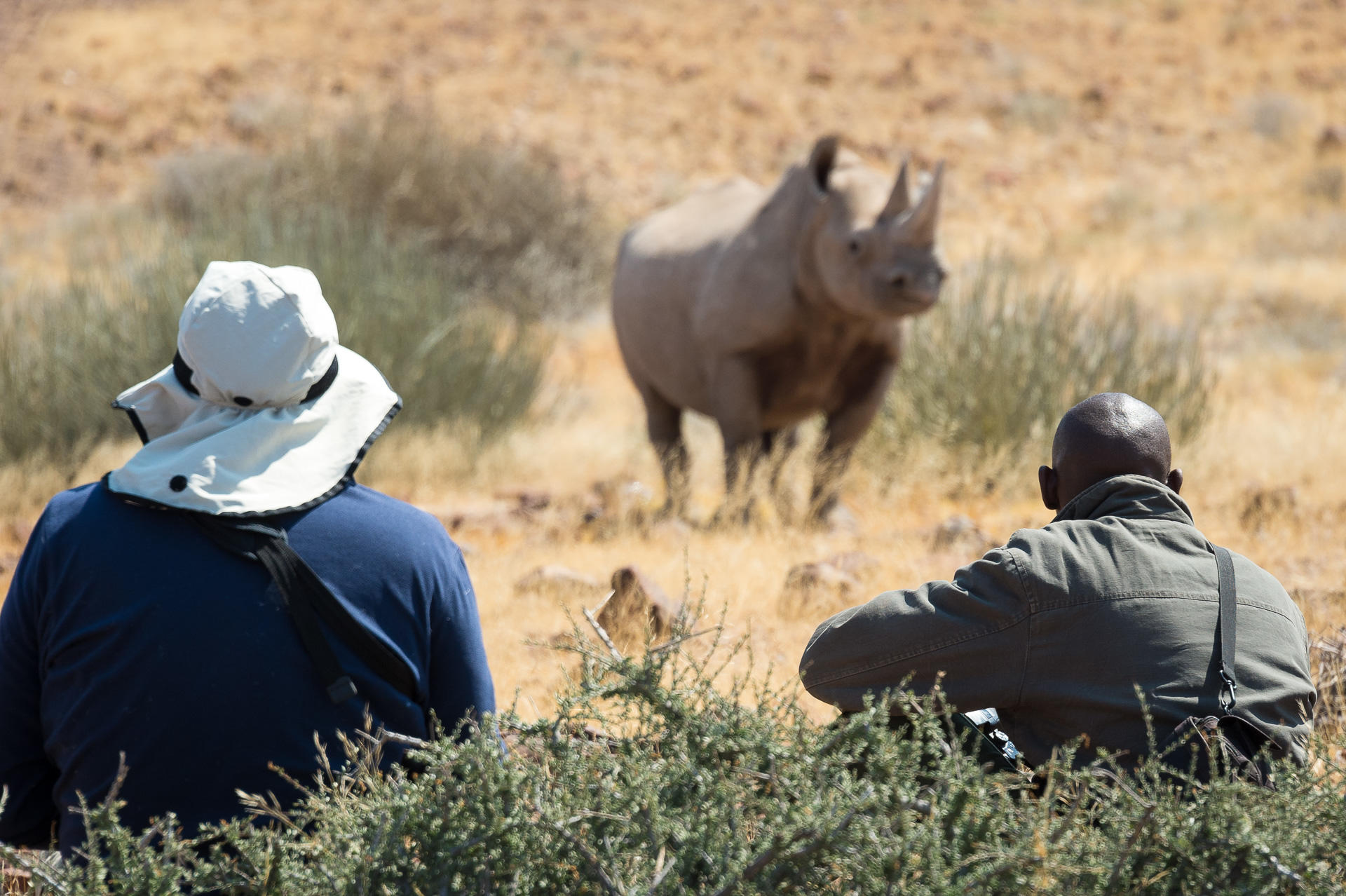 https://www.trackssafaris.co.uk/wp-content/uploads/2022/07/Desert-Rhino-Camp_31.jpg