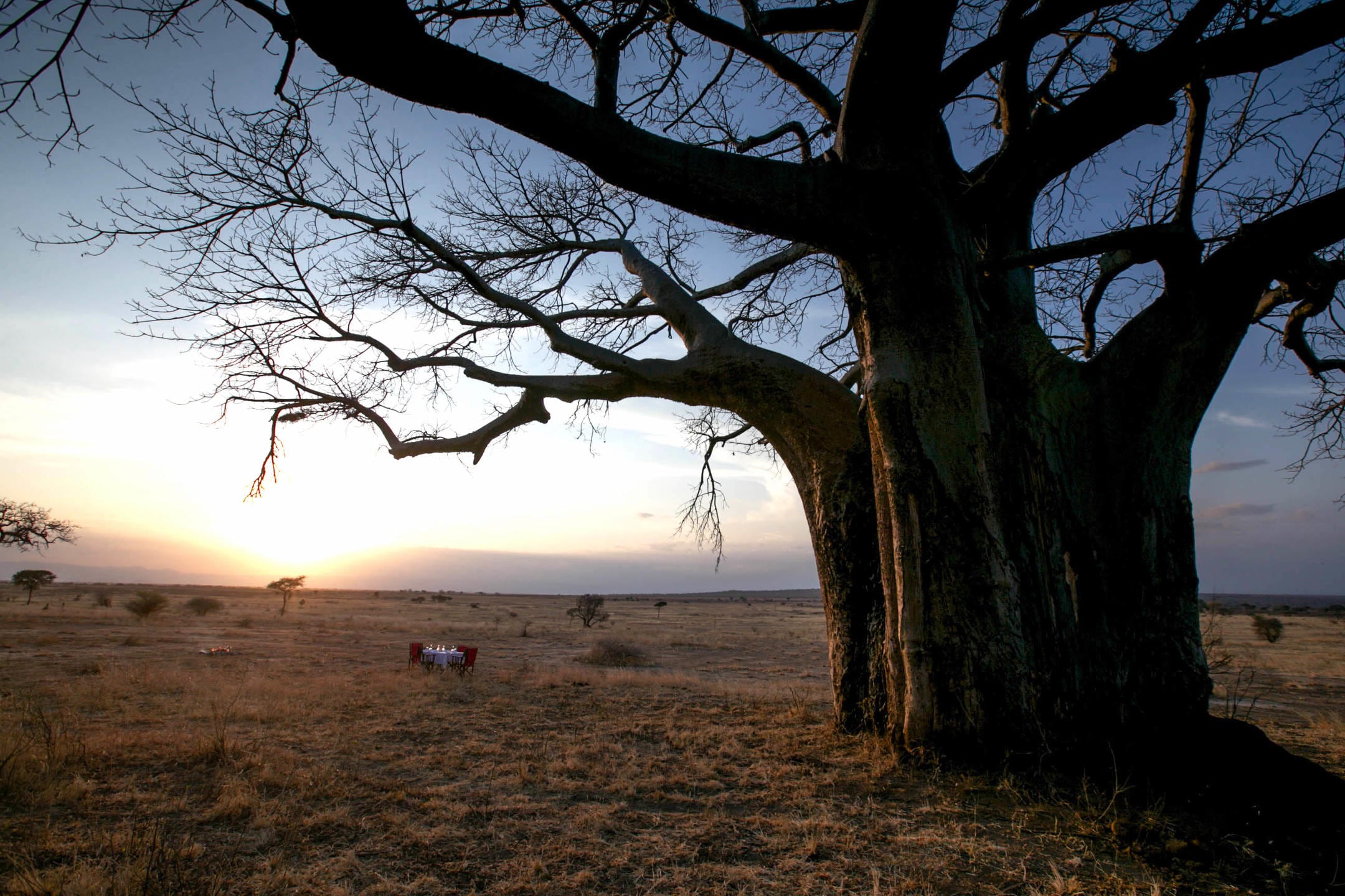 /wp-content/uploads/2022/07/Dinner-under-the-magnificent-baobab-.jpg