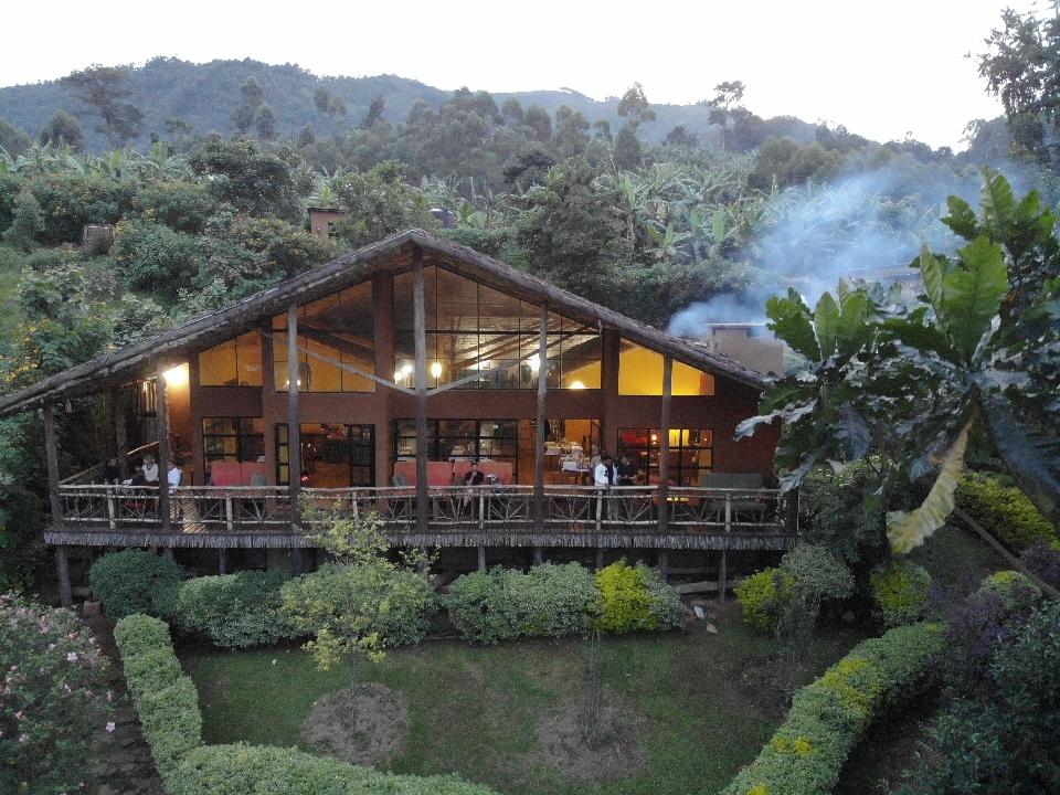 Mahogany Springs Lodge – Bwindi Impenetrable Forest