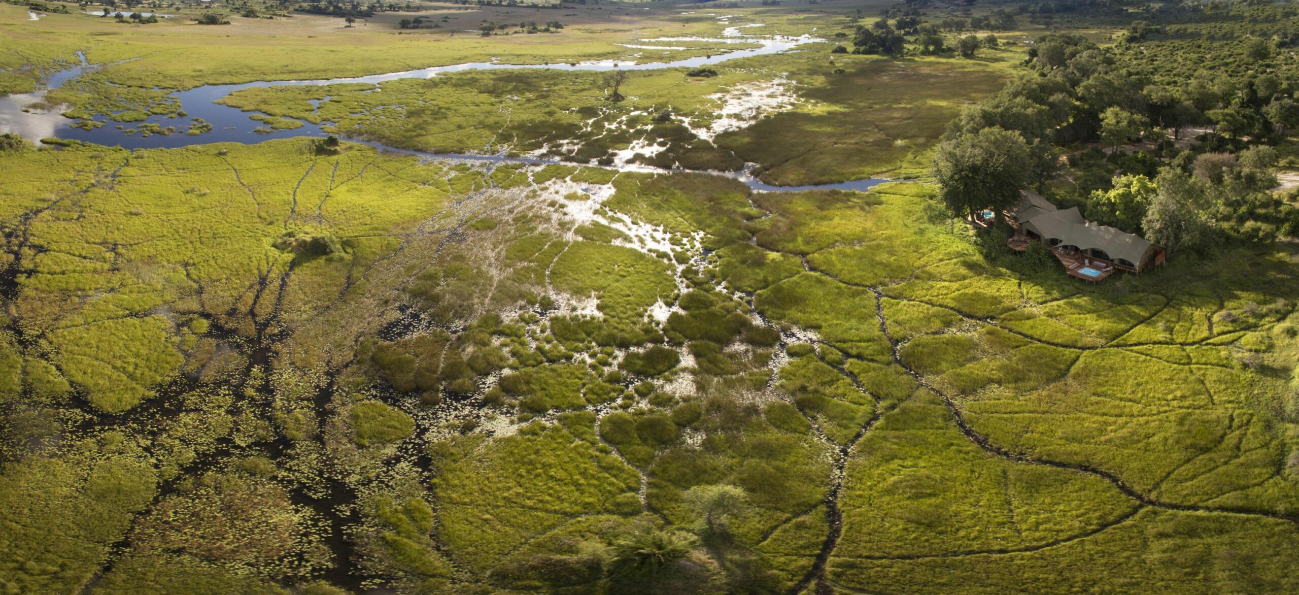 https://www.trackssafaris.co.uk/wp-content/uploads/2022/07/Duba-Plains-Suite-Exterior-View-scaled.jpg