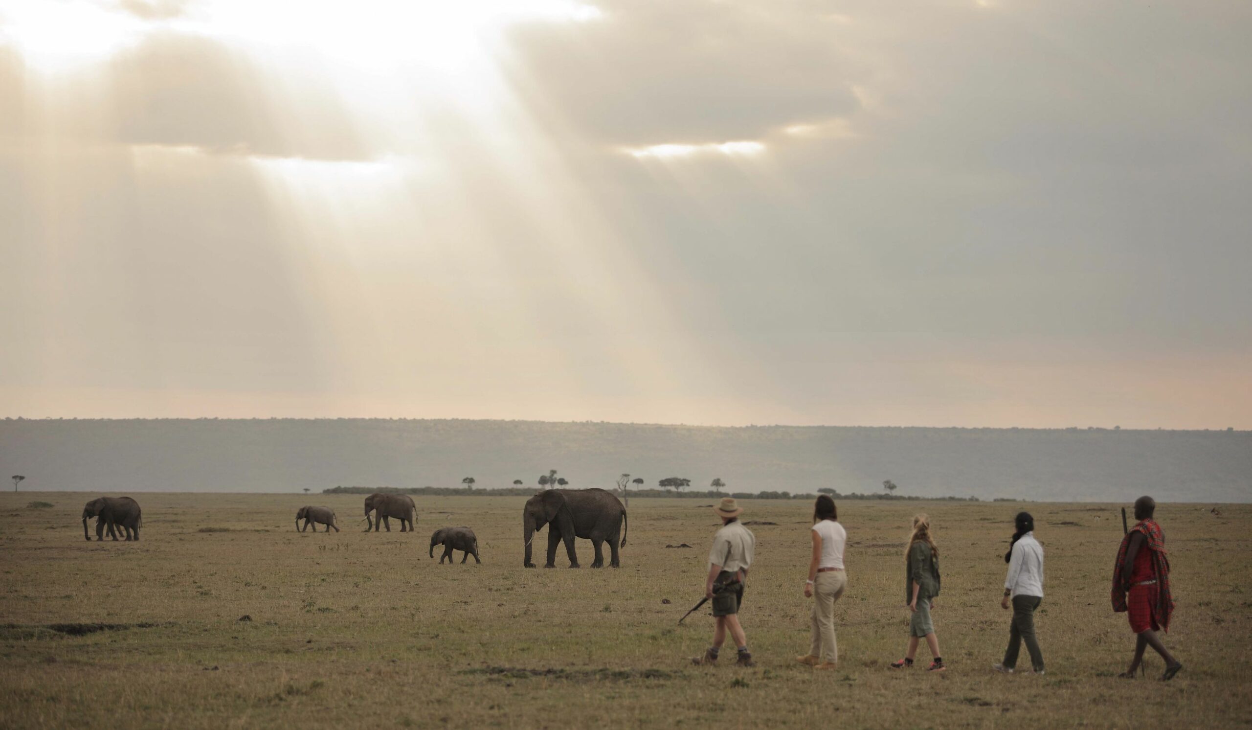 /wp-content/uploads/2022/07/Elephant-Pepper-Camp-Bushwalking-2-copy-scaled.jpg